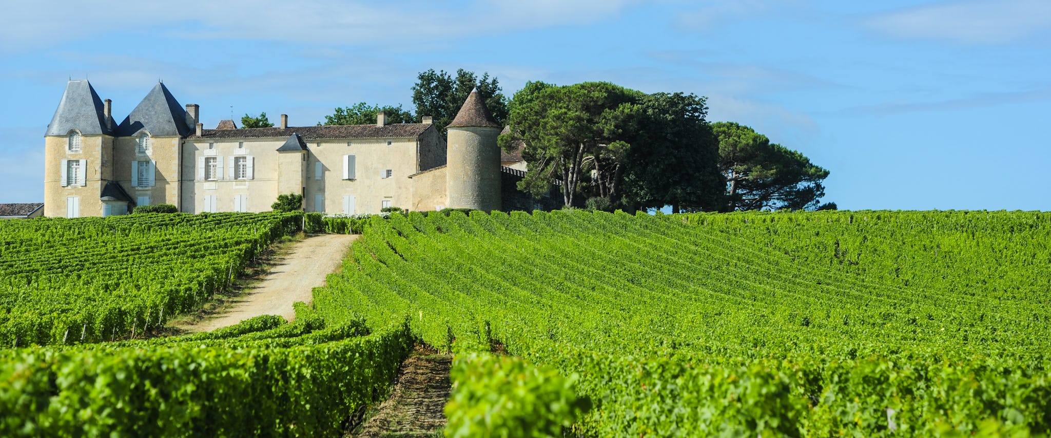 Sauternes