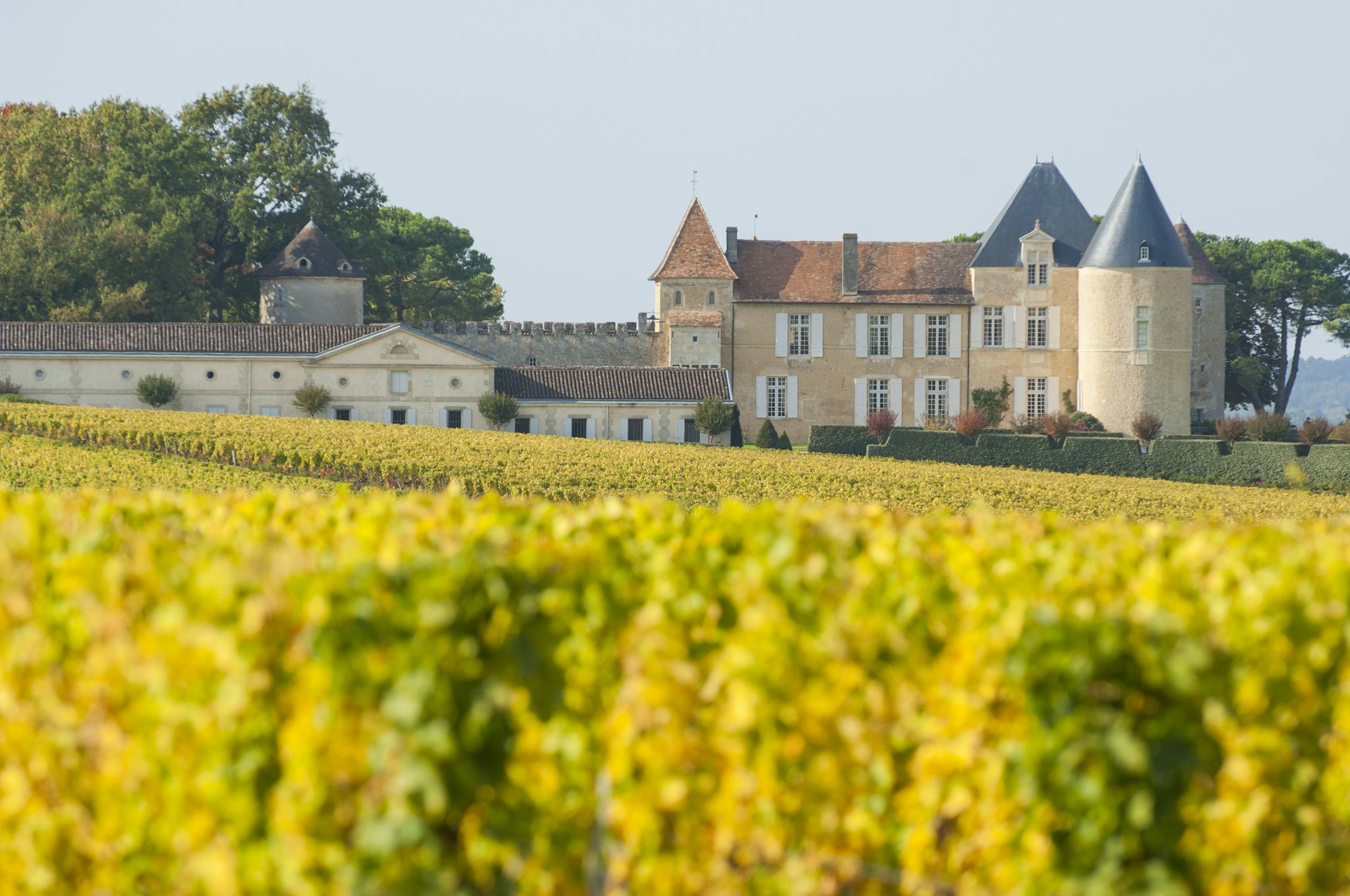 Sauternes