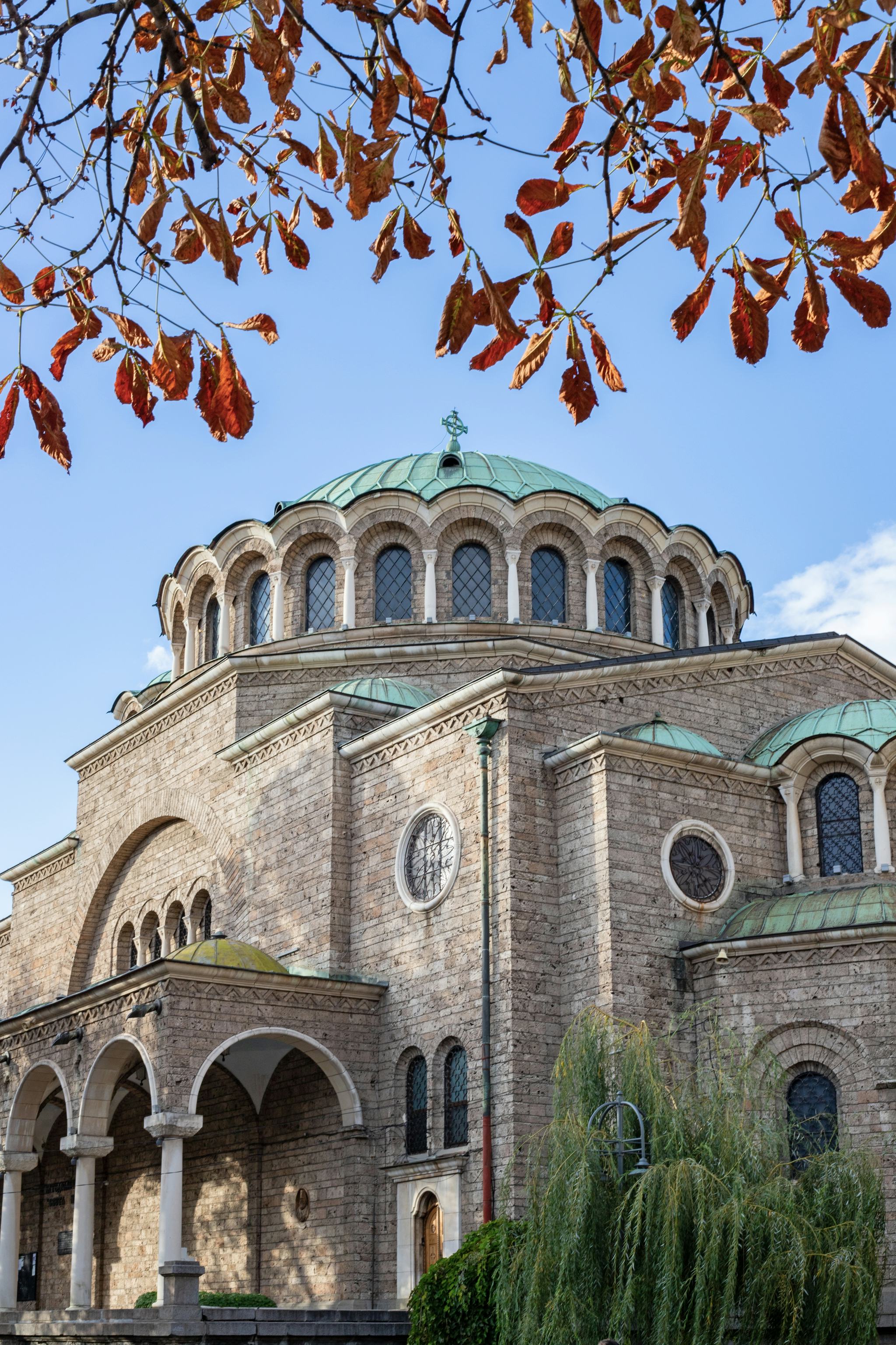Sofia