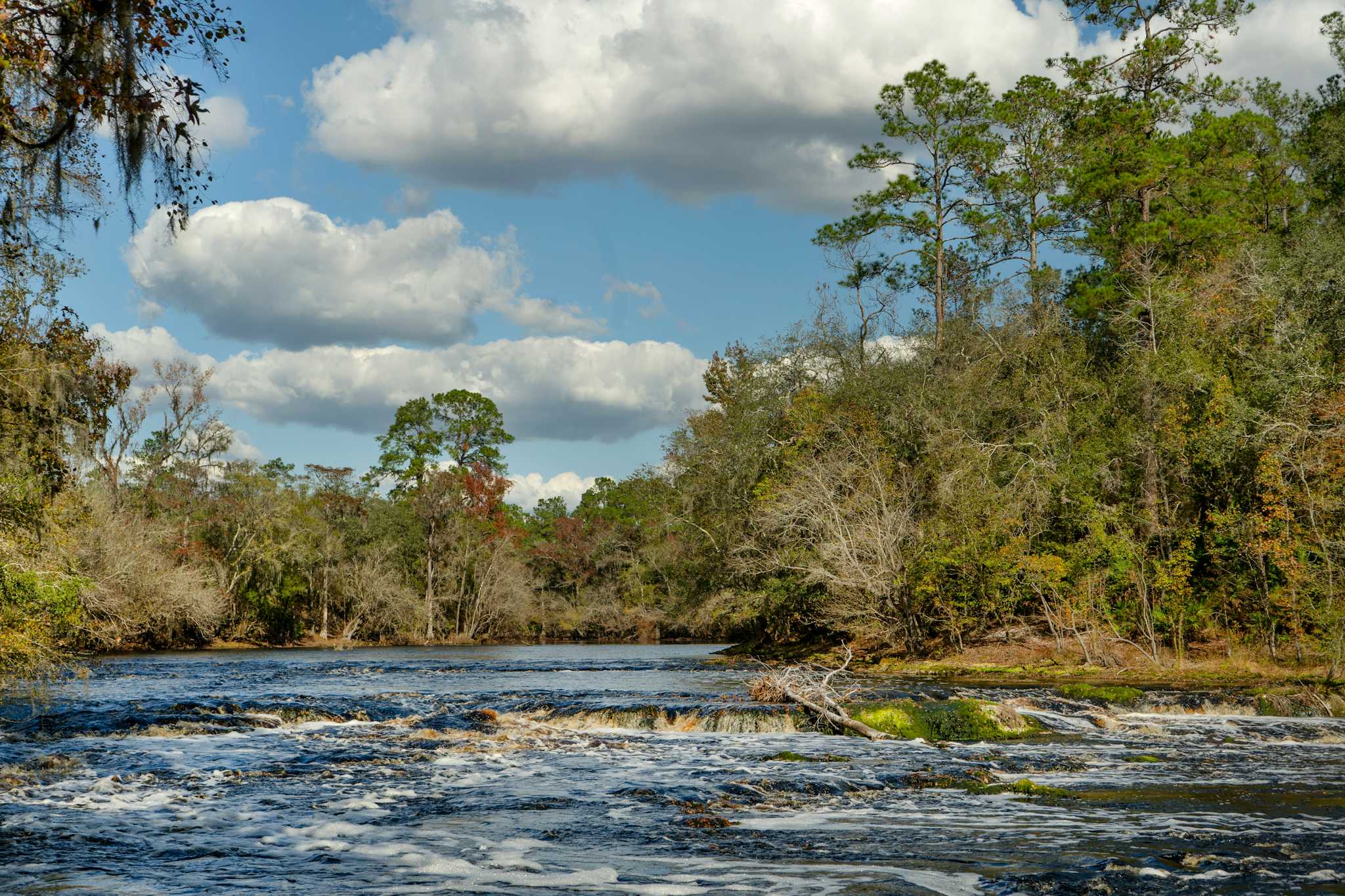 Suwannee River Staatspark