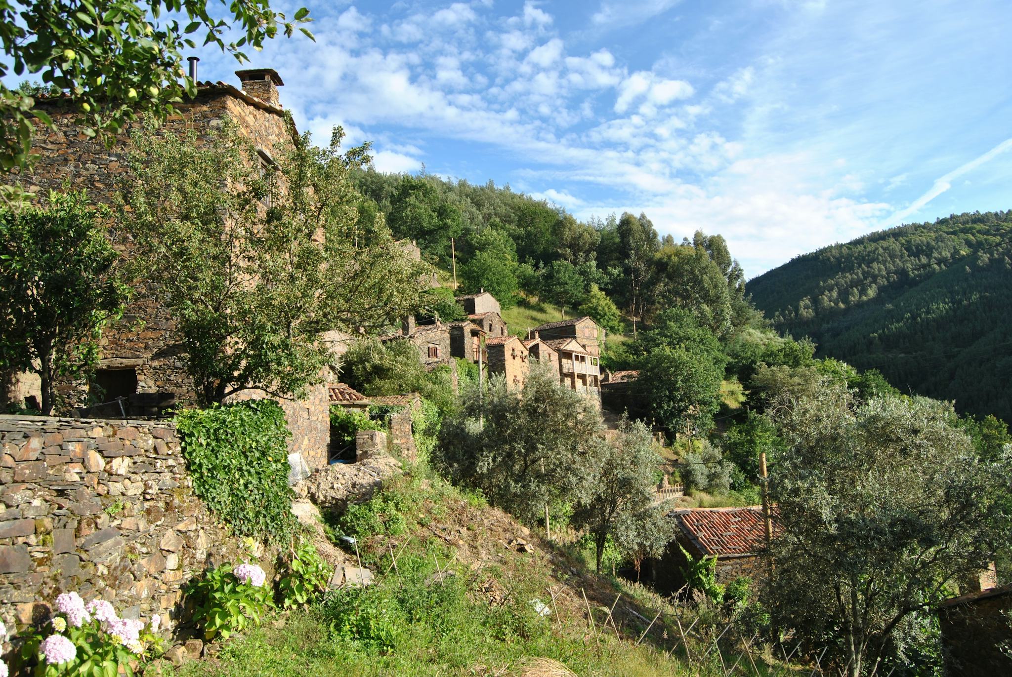 Talasnal