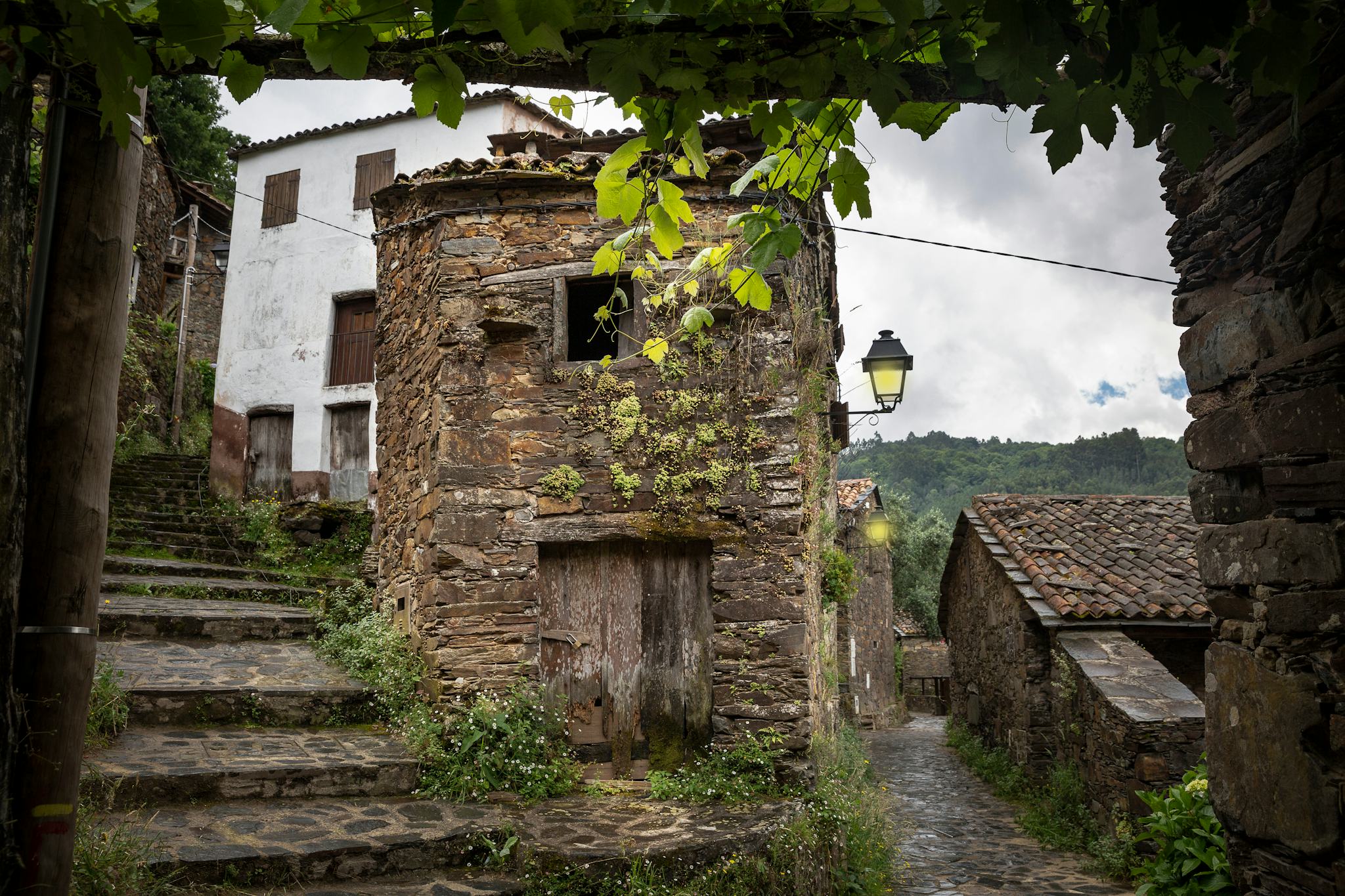Talasnal