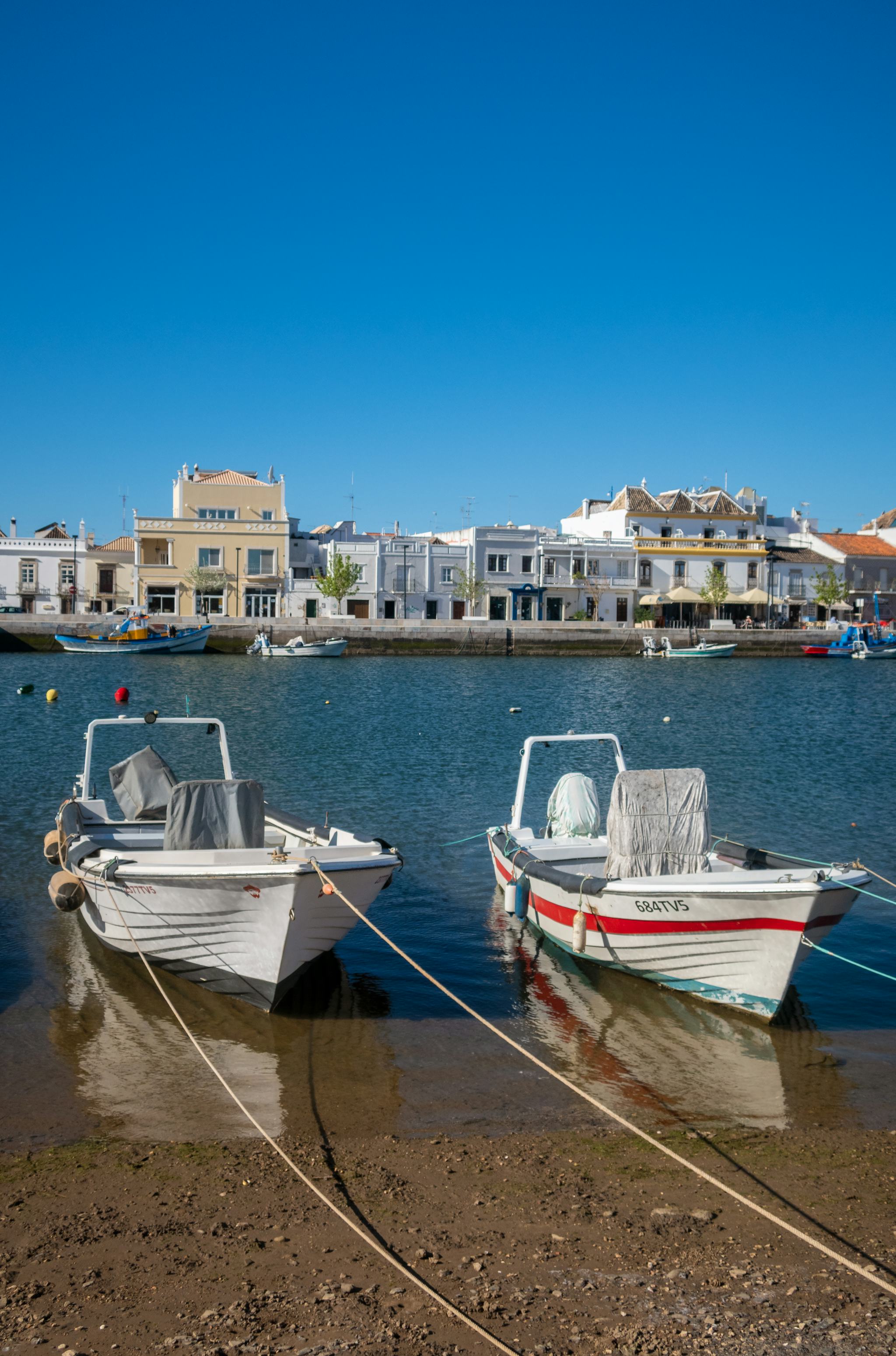 Tavira