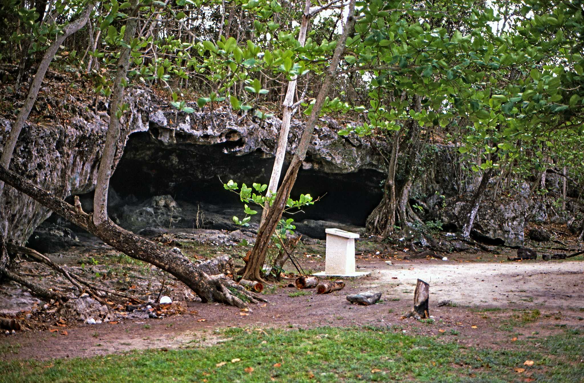 The Caves