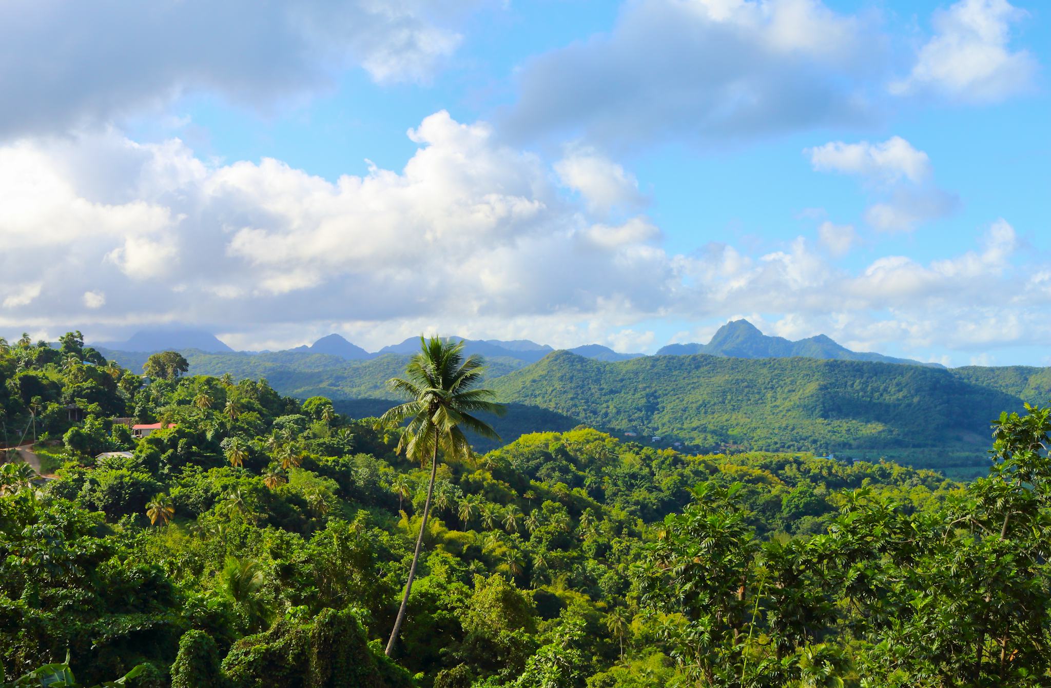 Theodorine, St. Lucia