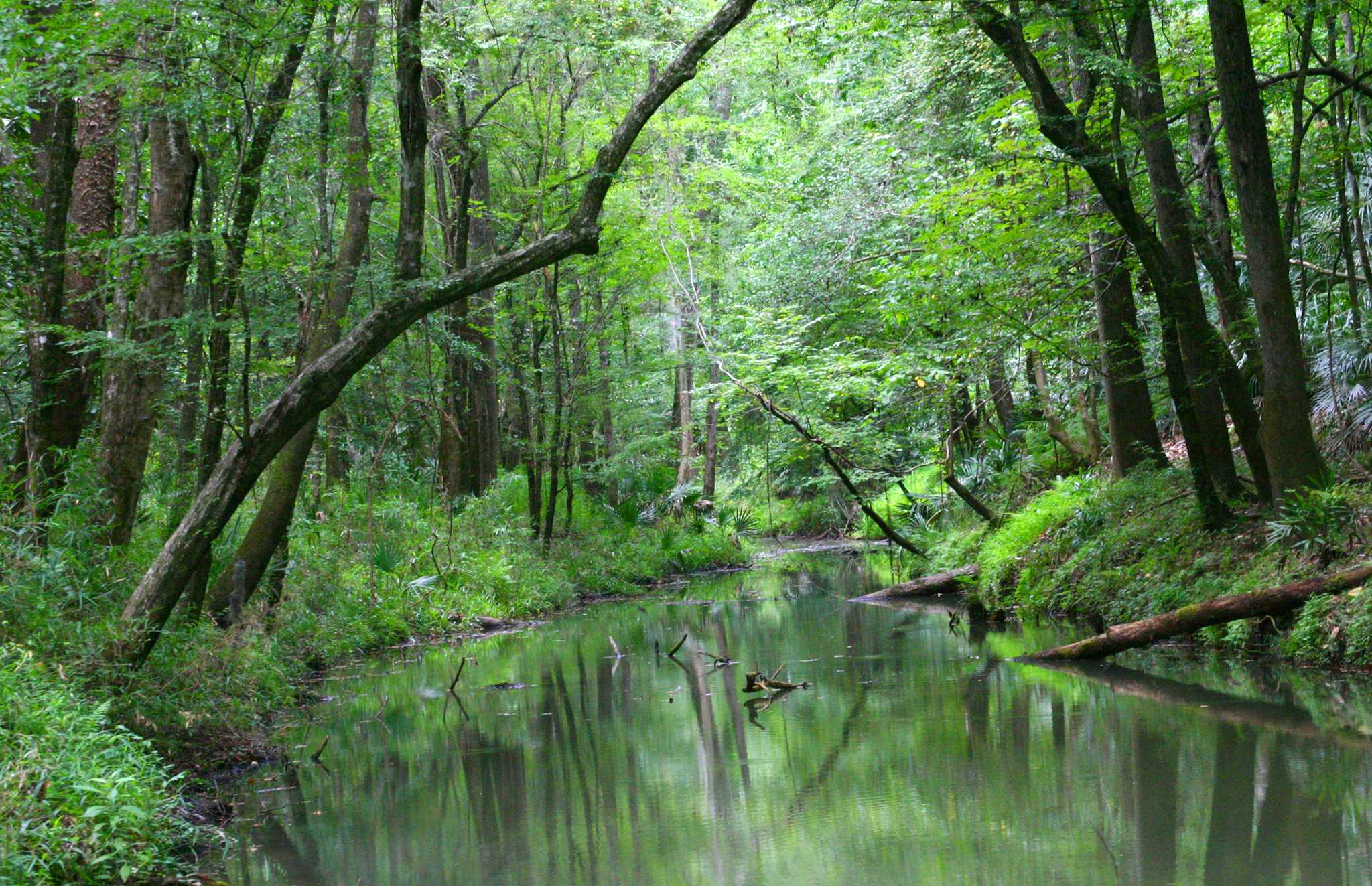 Torreya State Park