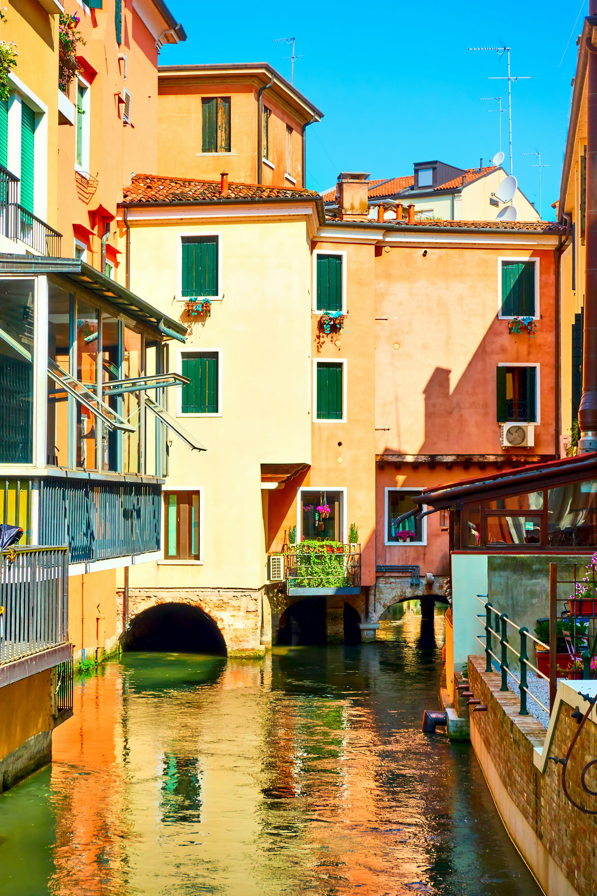 Treviso