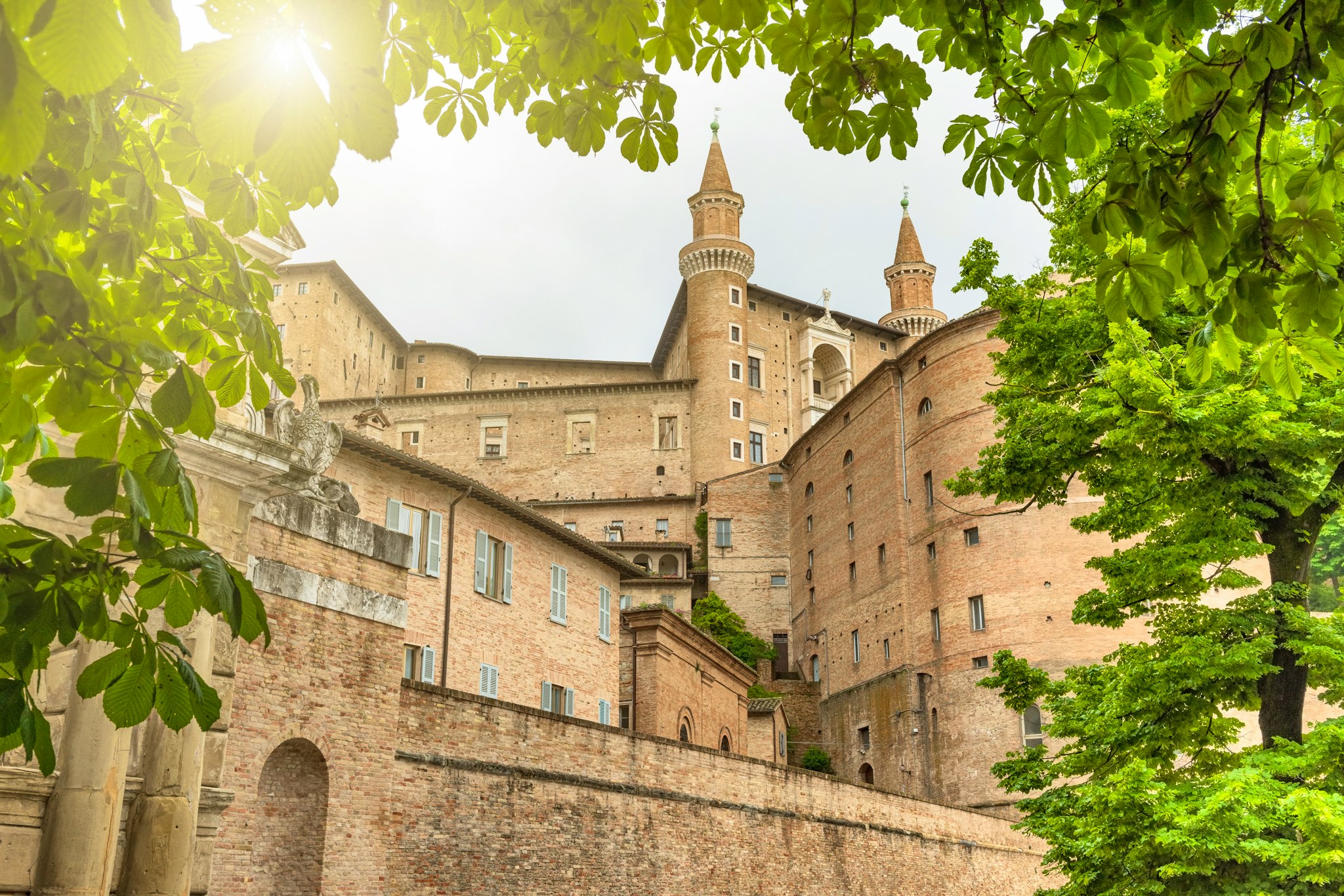Ancona to Urbino and Fano: Private day trip