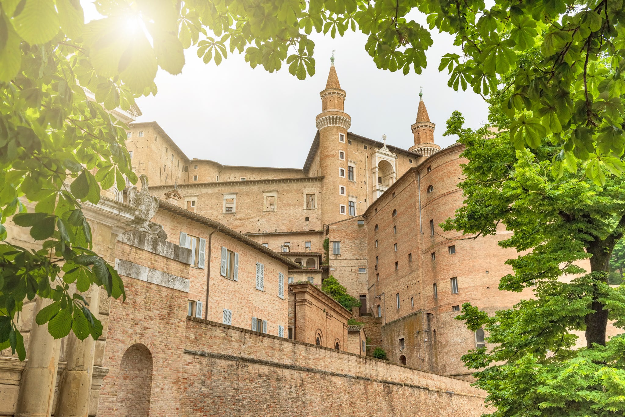 Ancona to Urbino and Fano: Private day trip hero image