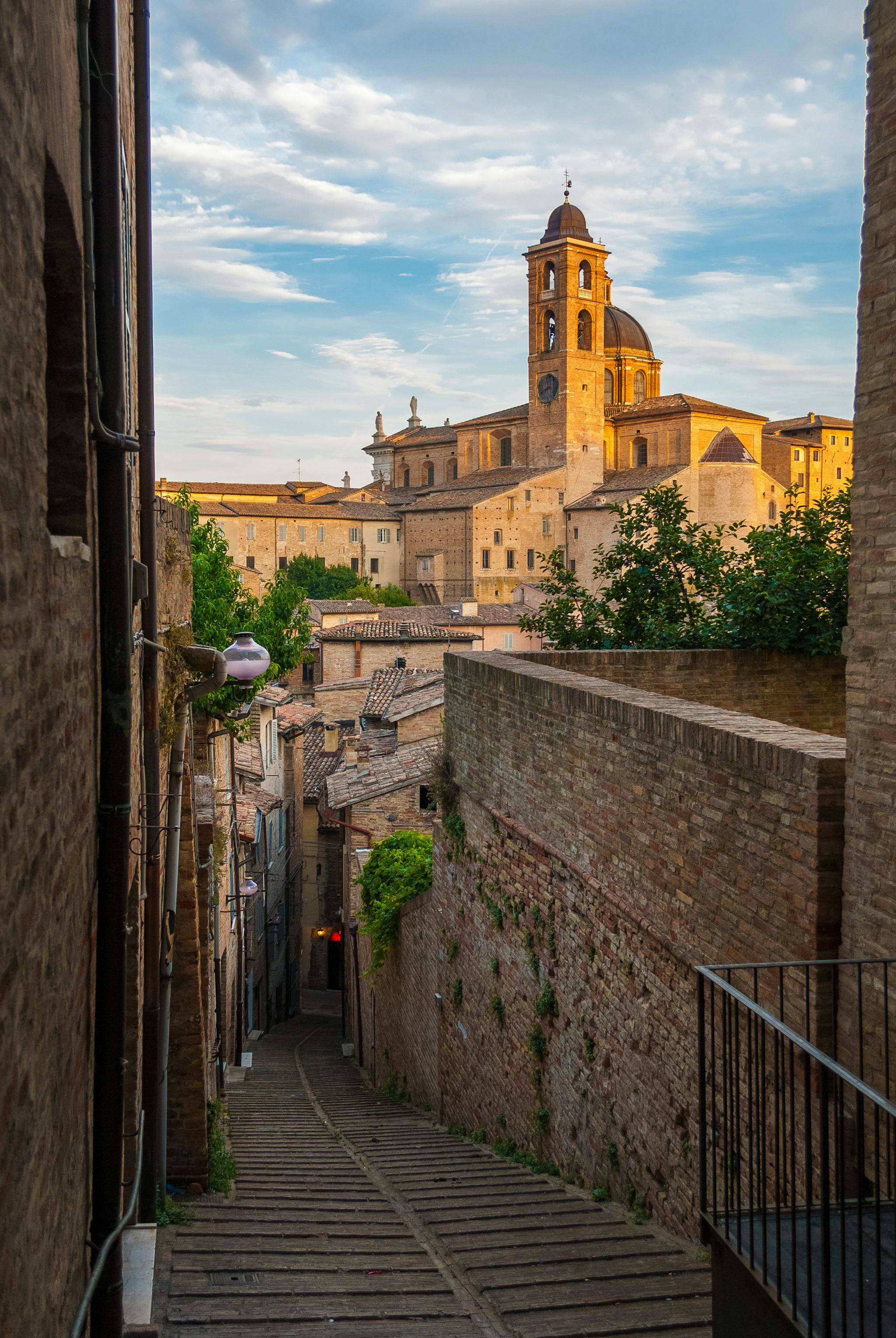 Urbino