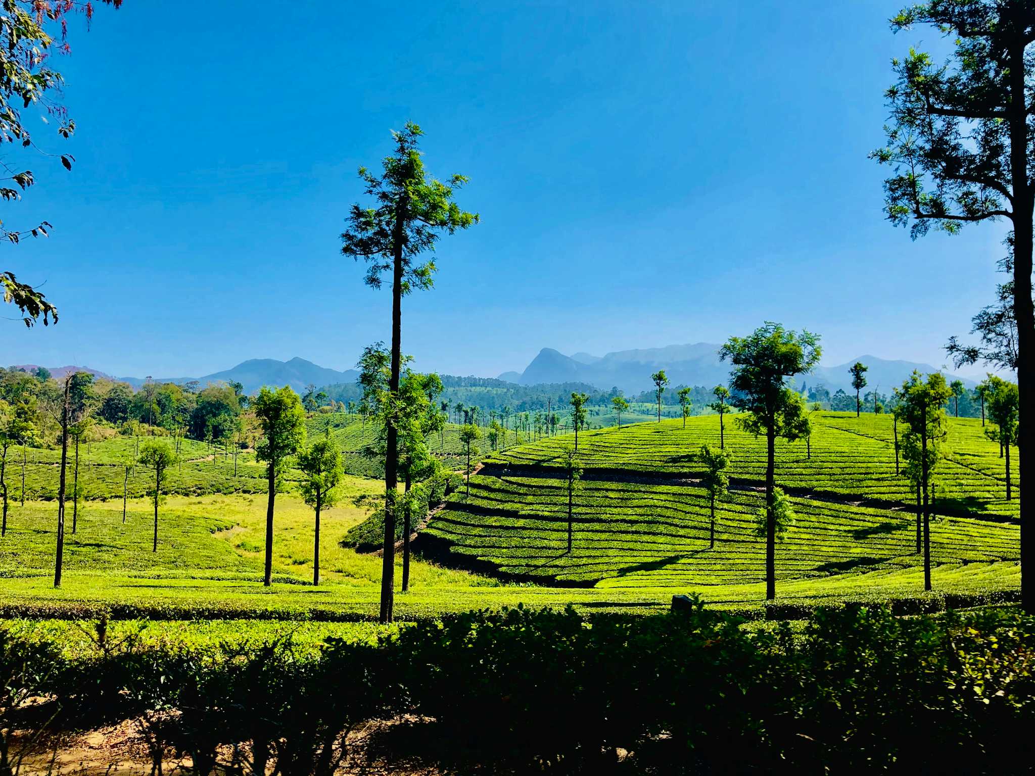 Valparai