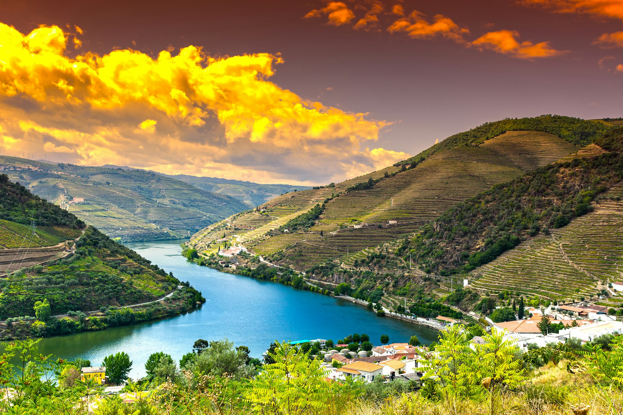 Terraced Vineyards of the Douro Valley