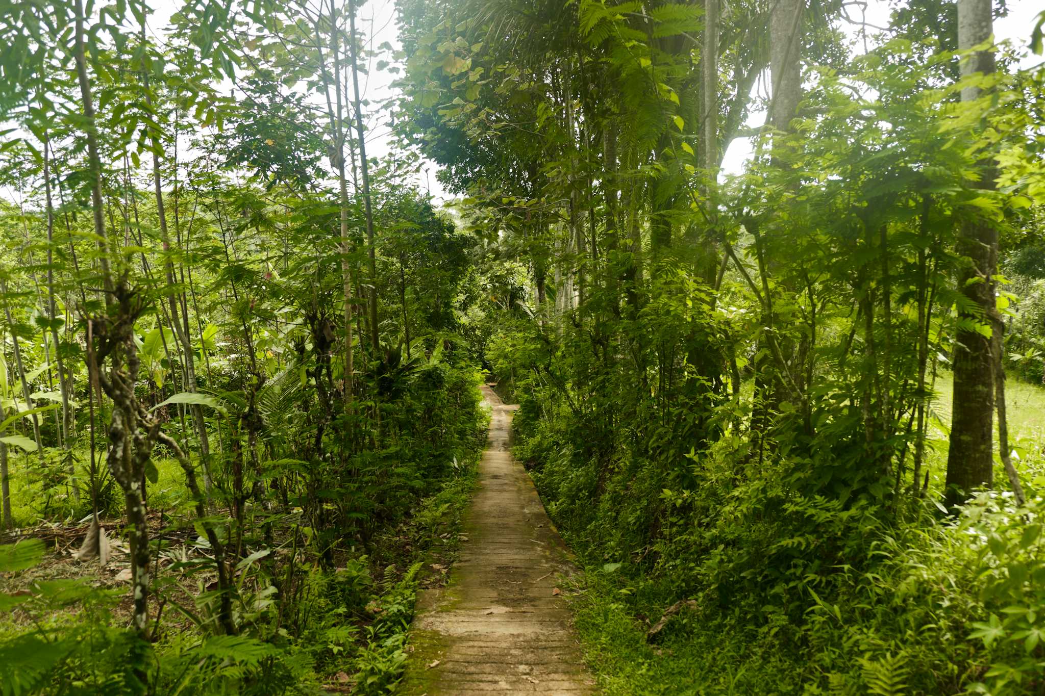 Walter Thilo Deininger Nationalpark