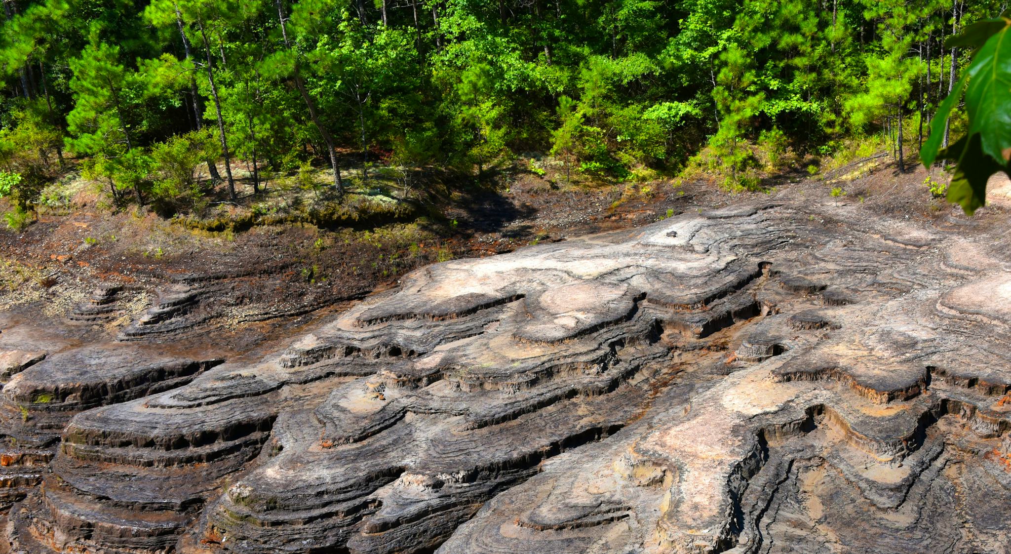 White Oak Lake State Park