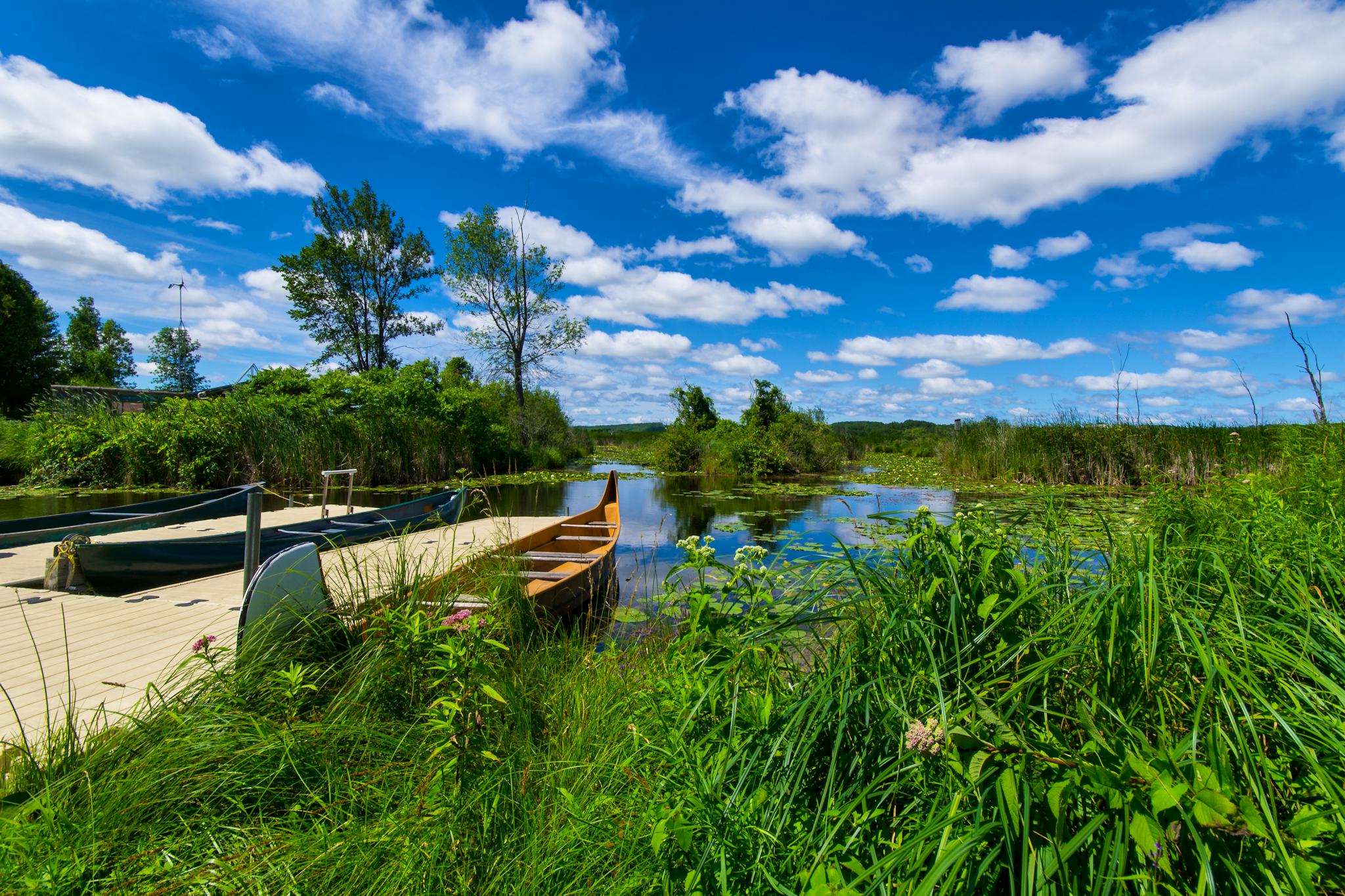 Centre de la Faune de Wye Marsh