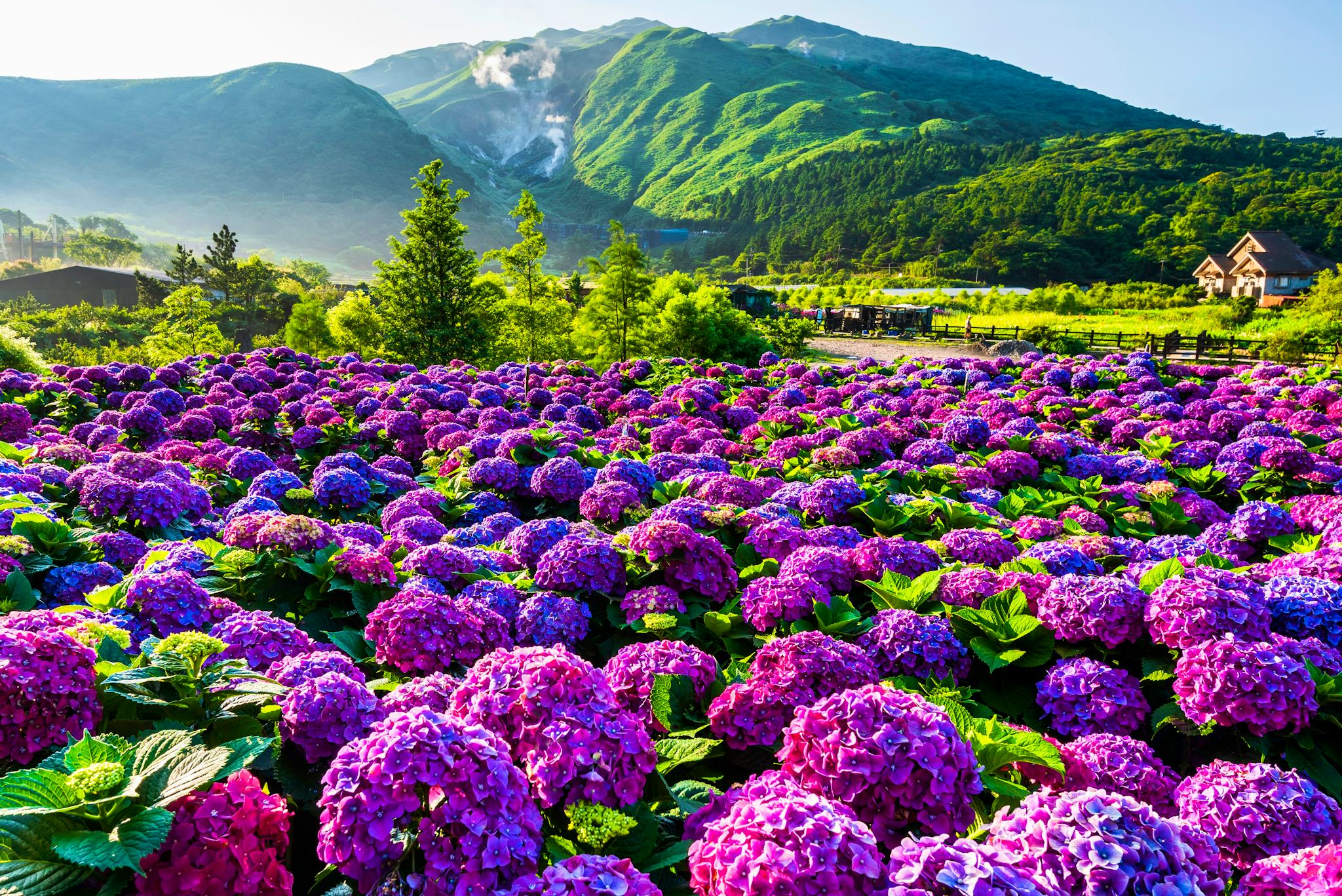 Yangmingshan National Park