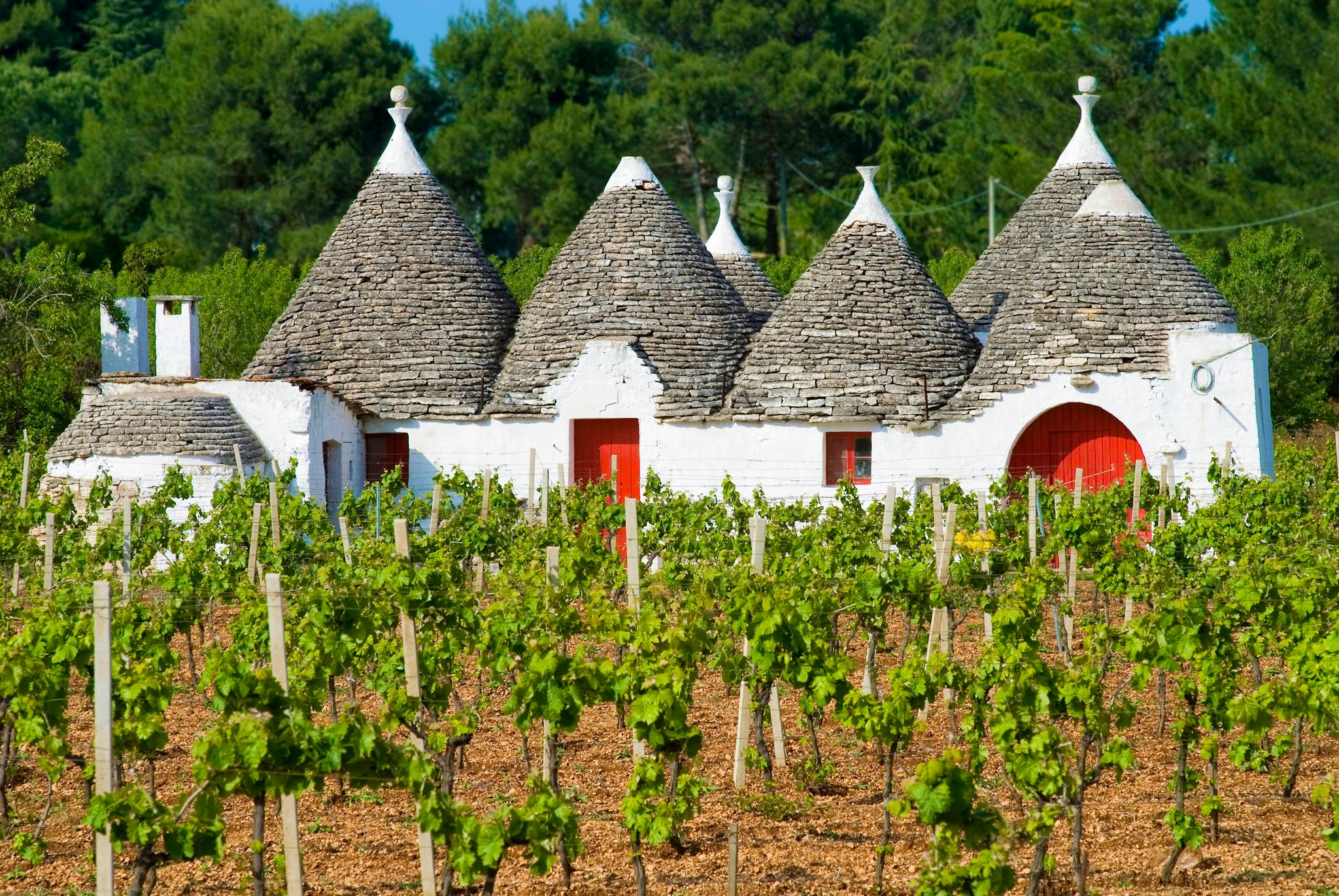Matera to the trulli villages: Private day trip