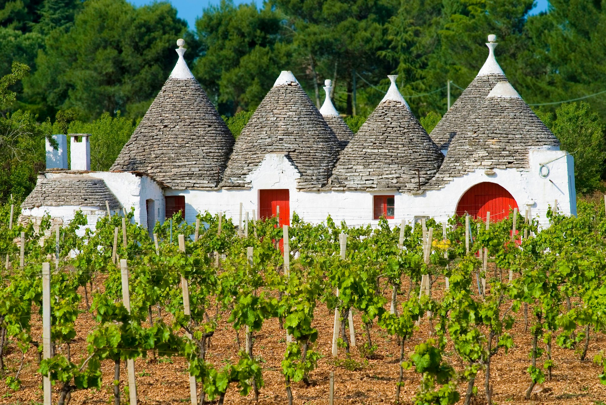 Matera to the trulli villages: Private day trip