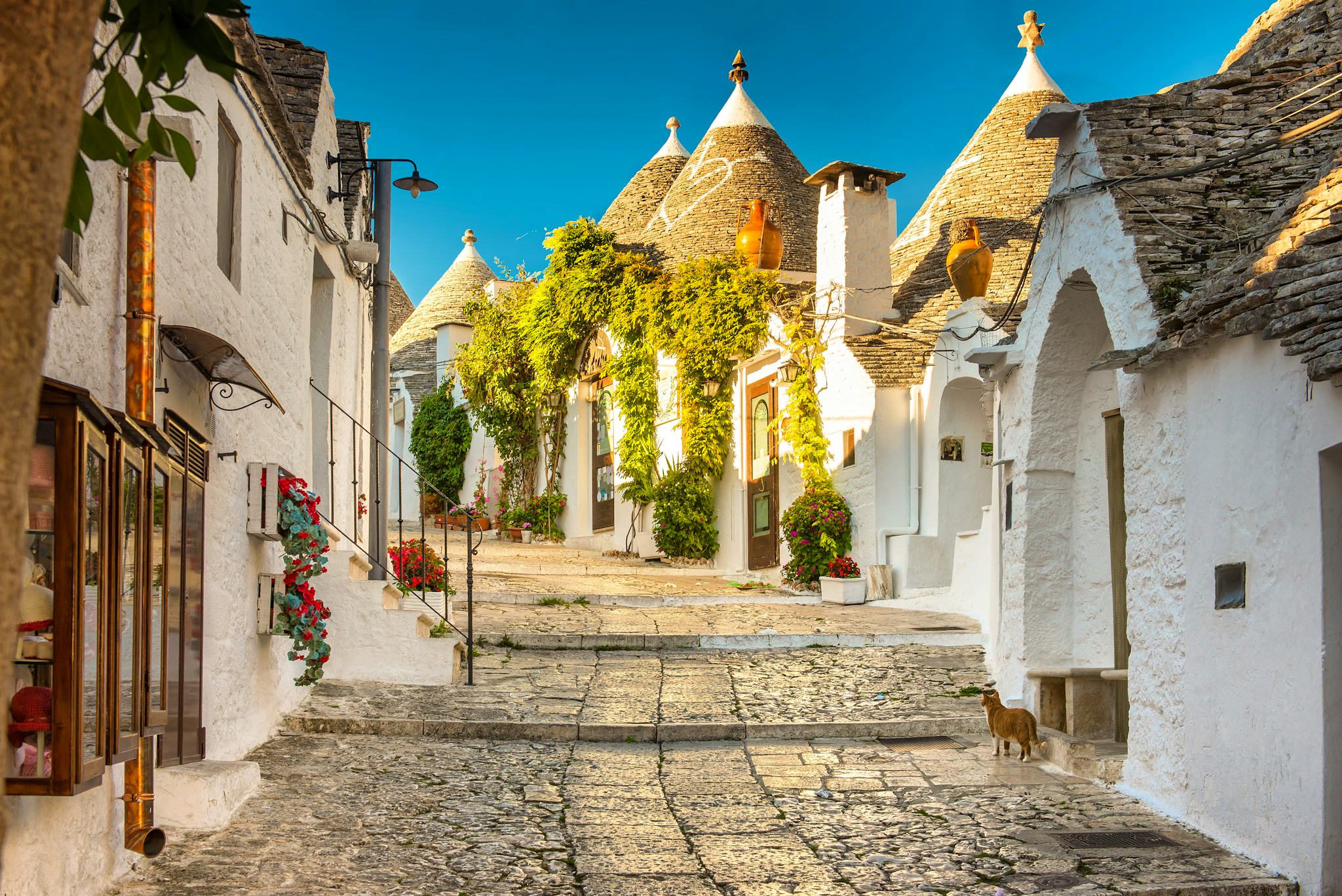 Matera to Alberobello: Private day trip
