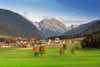 Alpin Panorama Hotel Hubertus