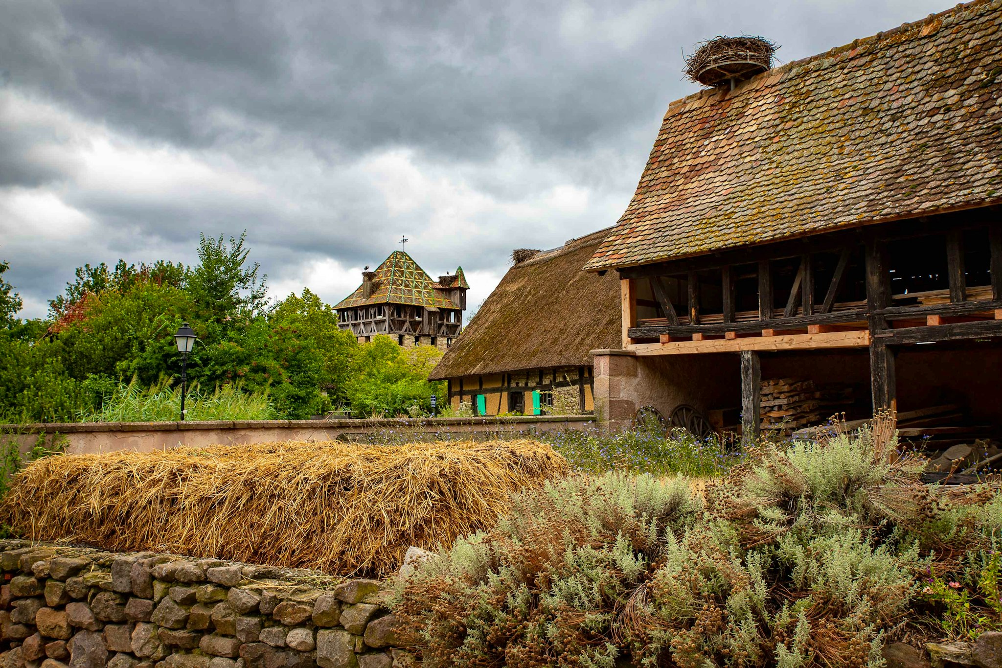 Strasbourg to Écomusée d'Alsace: Private day trip