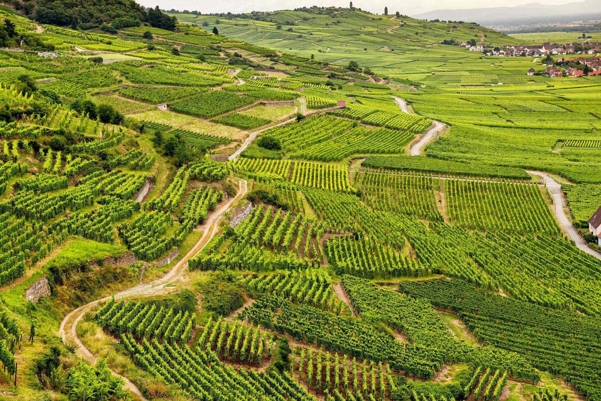 Alsace Wine Route
