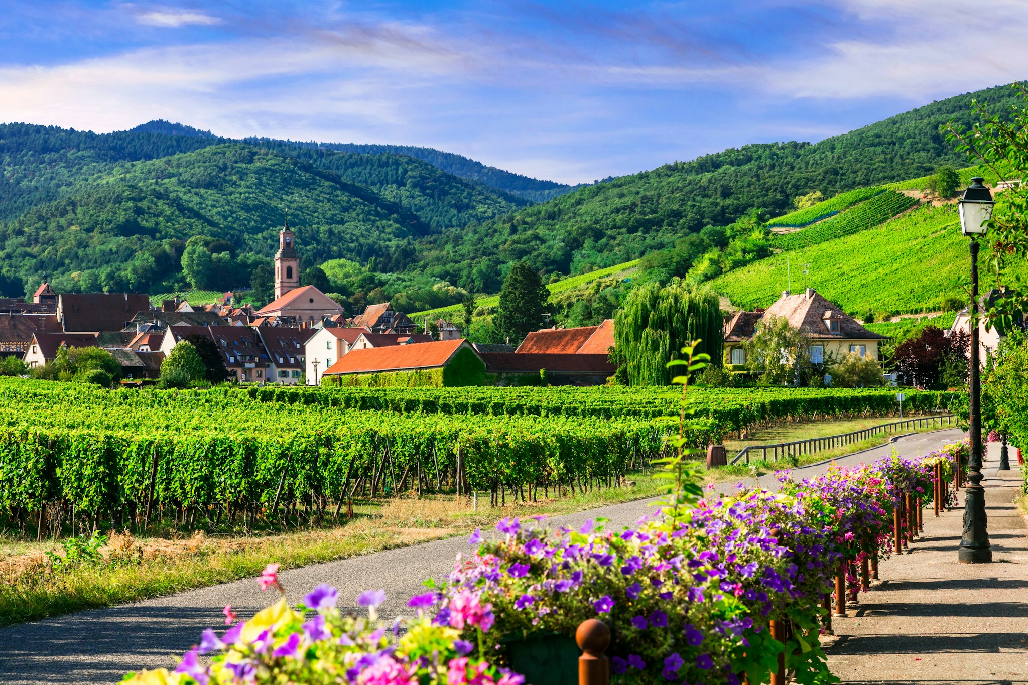 Alsace Wine Route