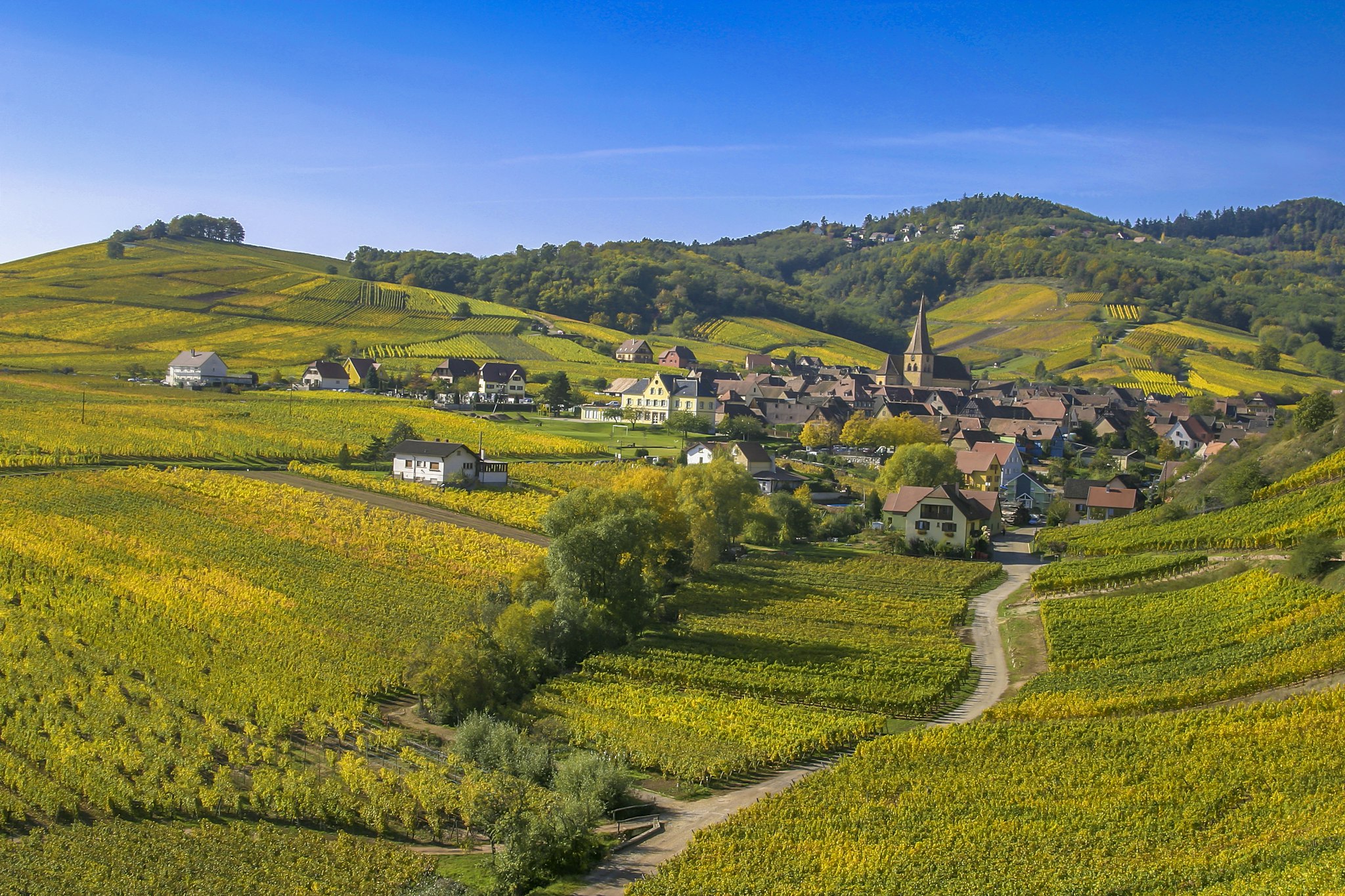 Alsace Wine Route