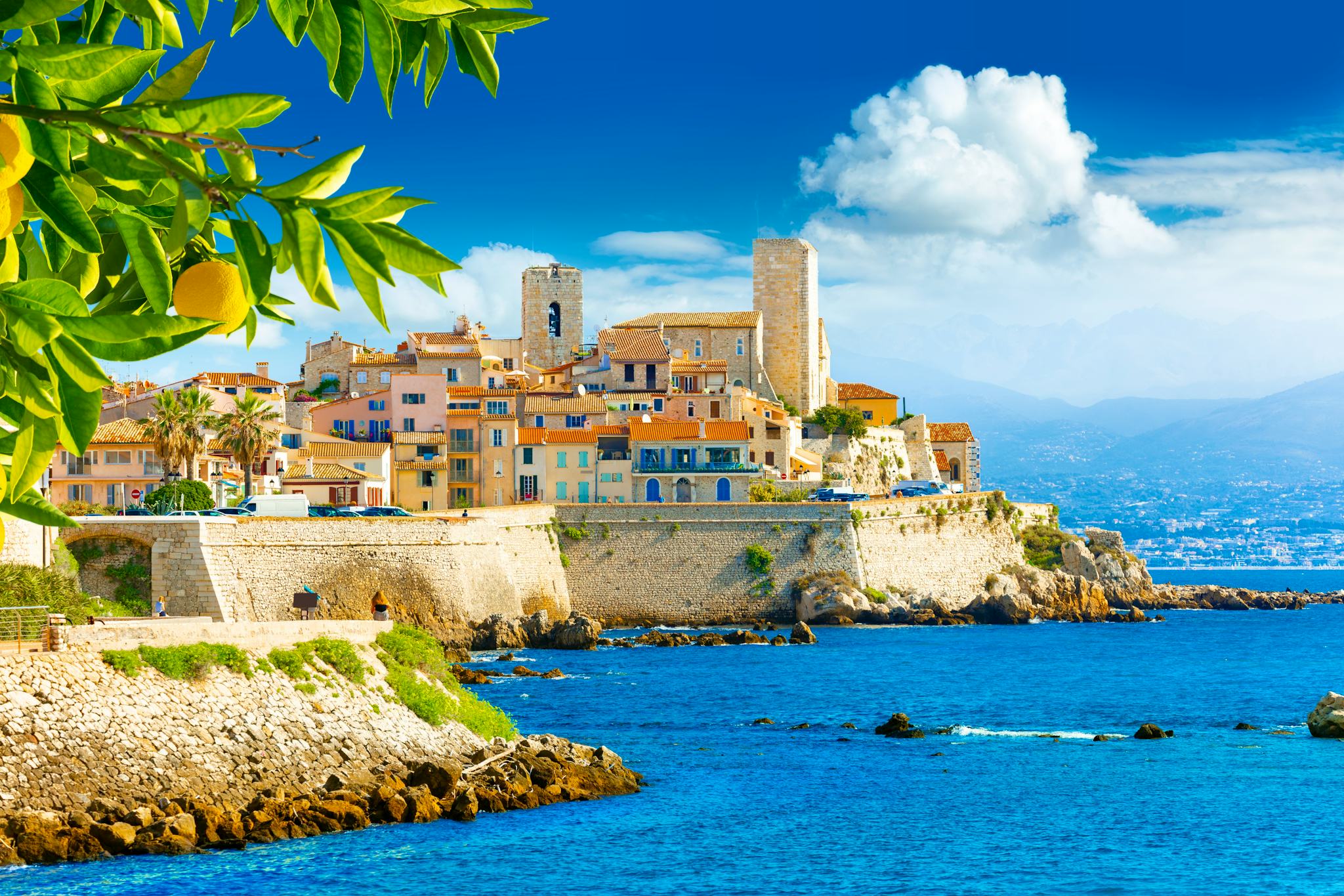 Nice to Cannes and Antibes: Private day trip