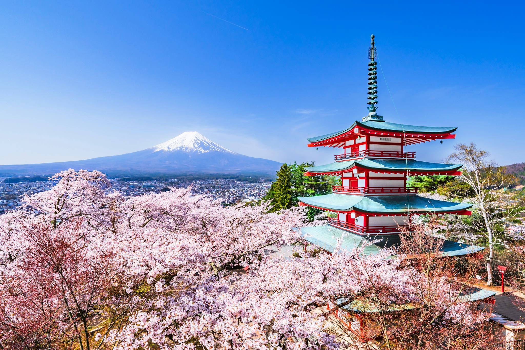 Arakurayama Sengen Park