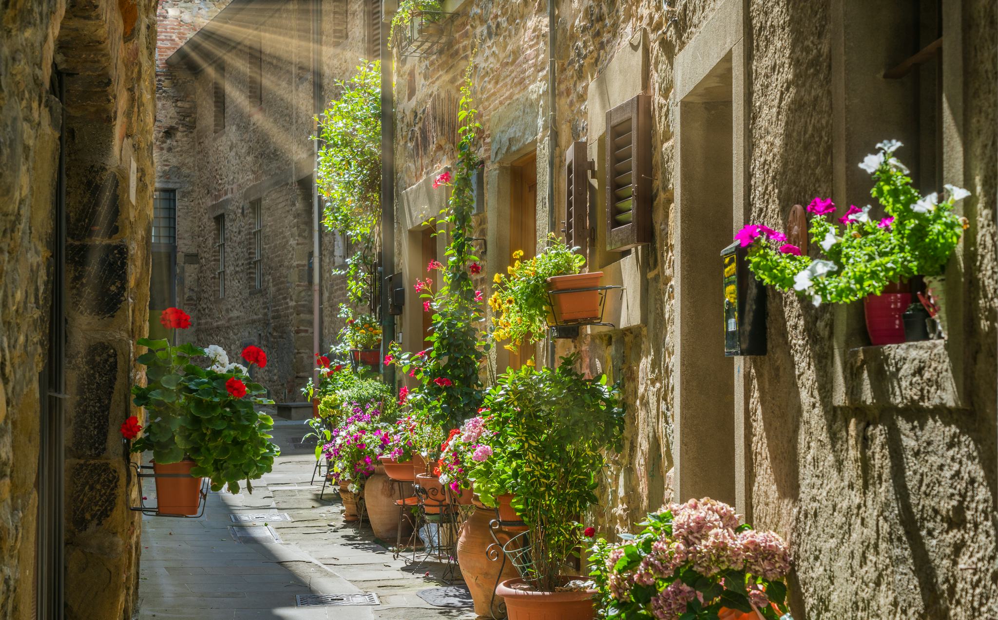 Arezzo