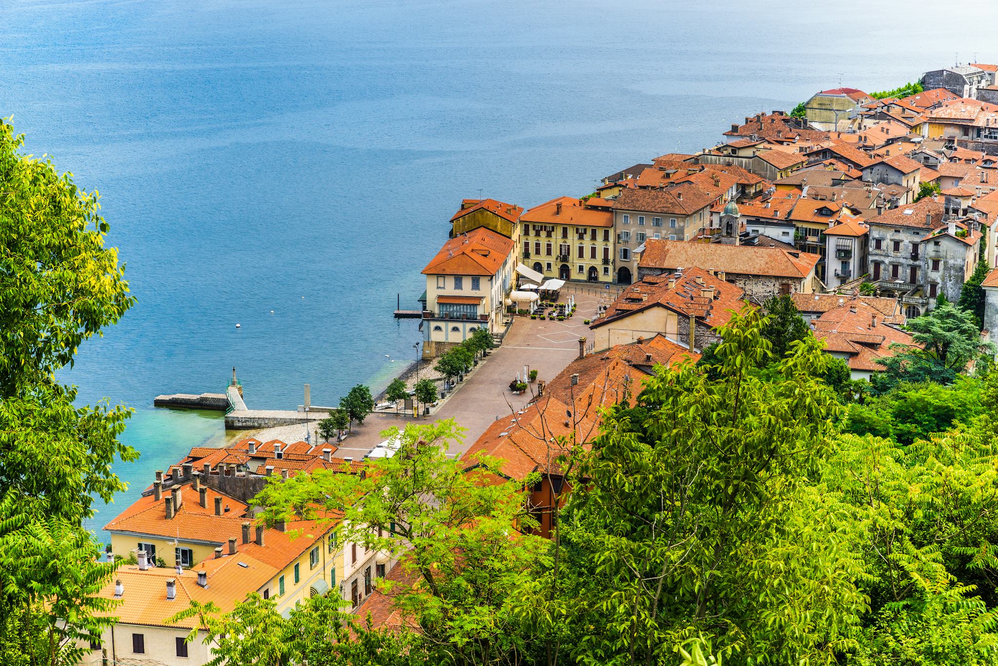 Arona