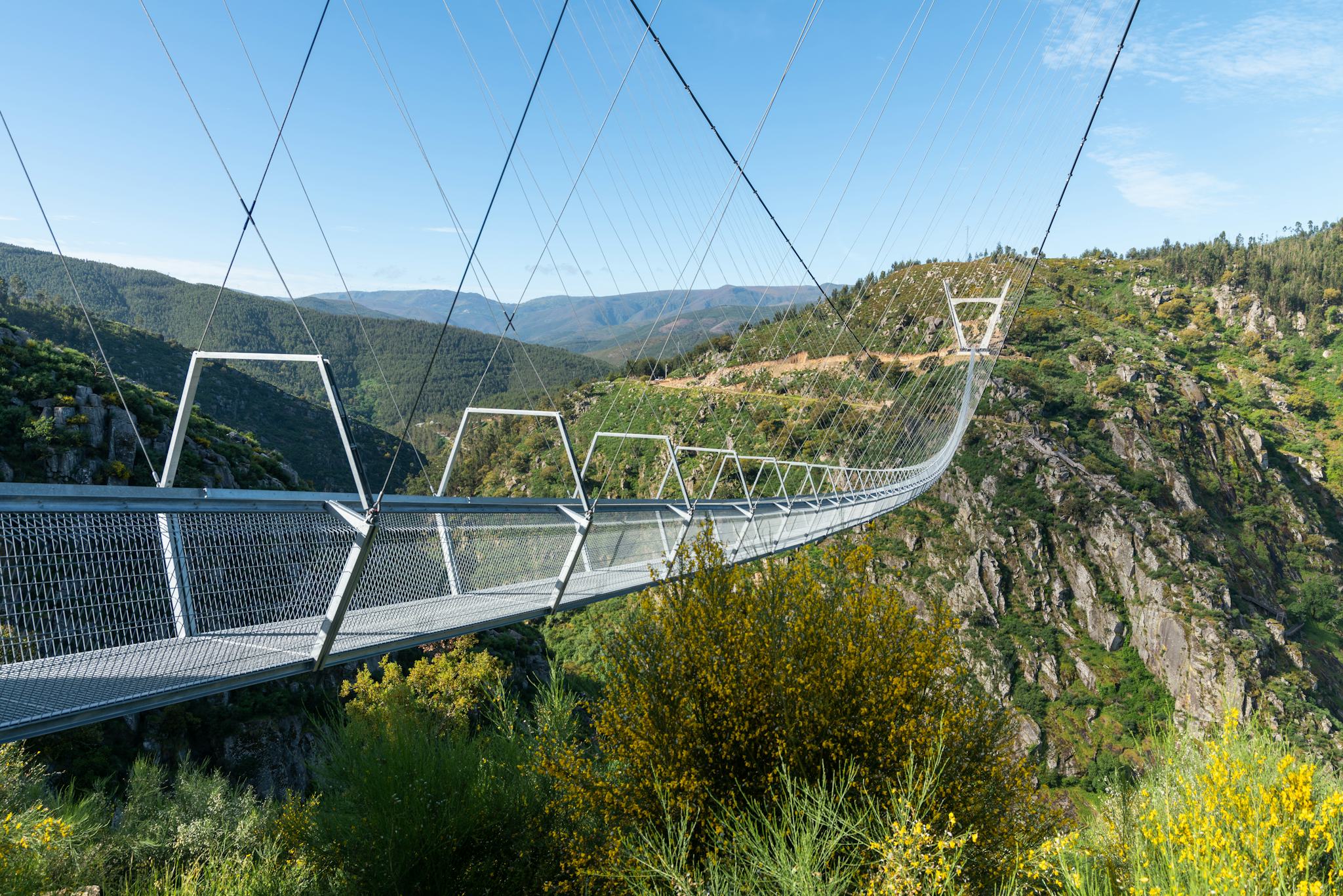 Arouca