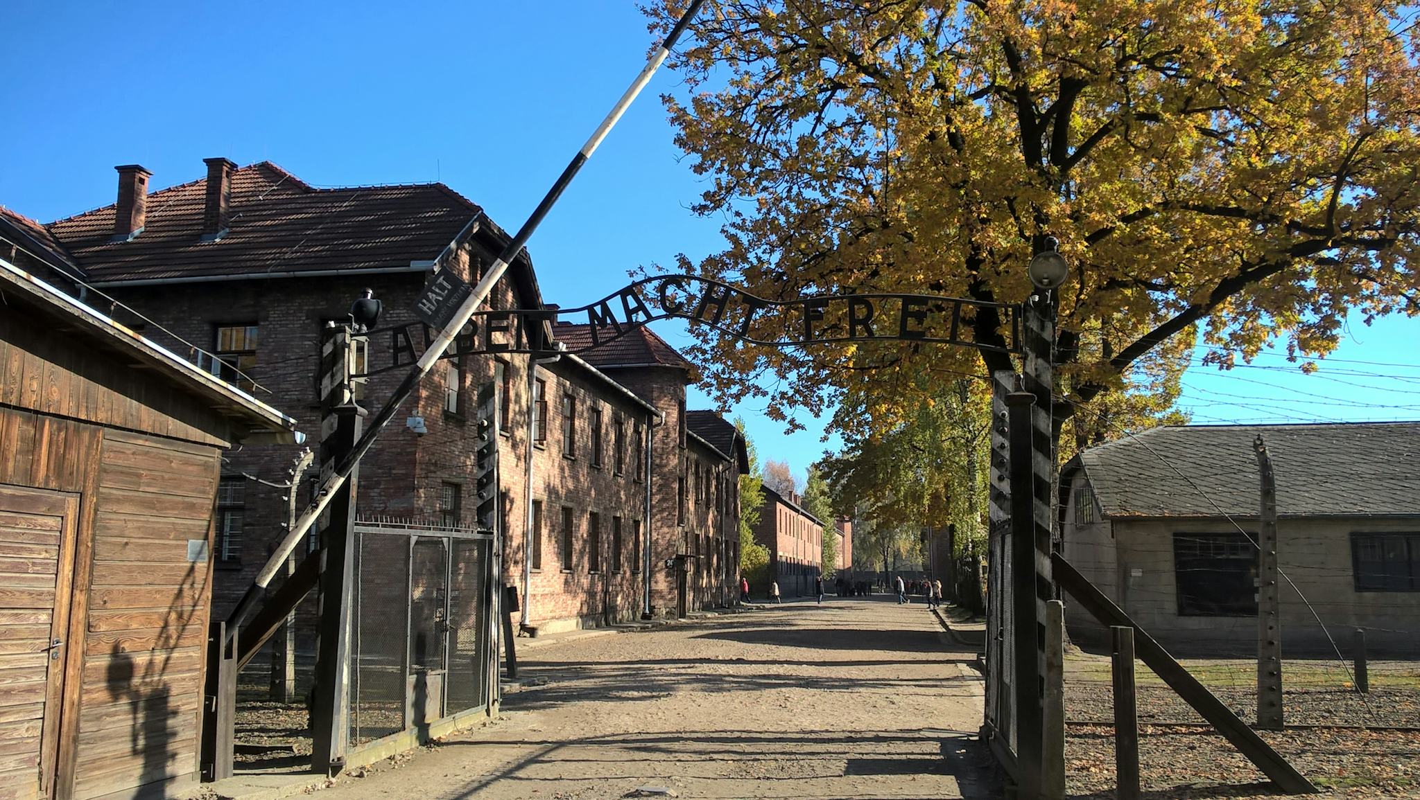 Auschwitz-Birkenau
