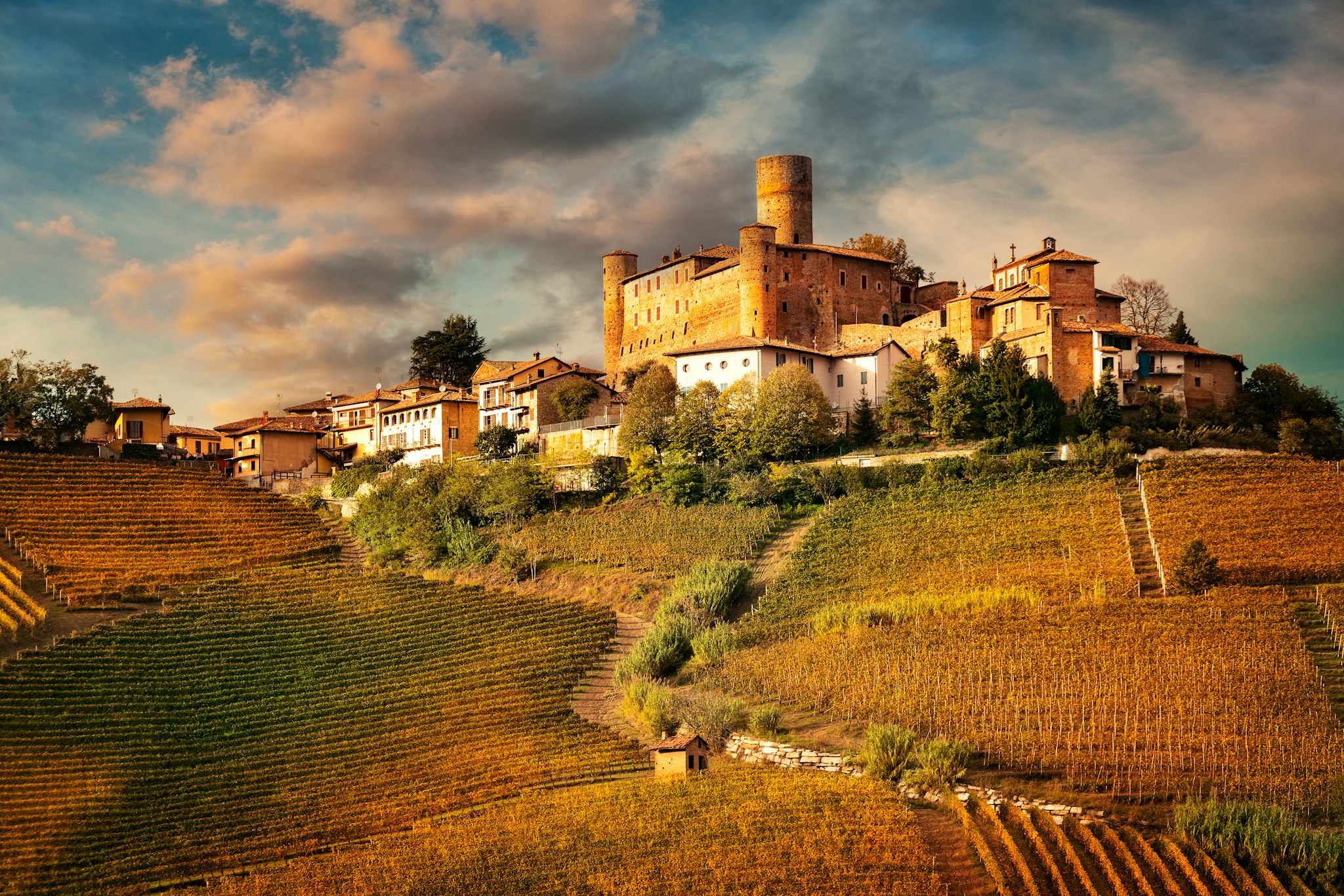 Turin to the Lazio wine region: Private day trip