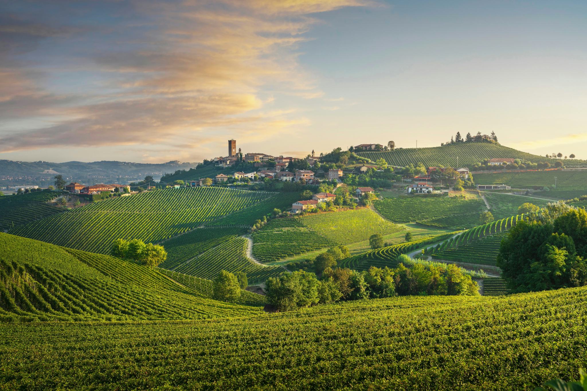 Barolo