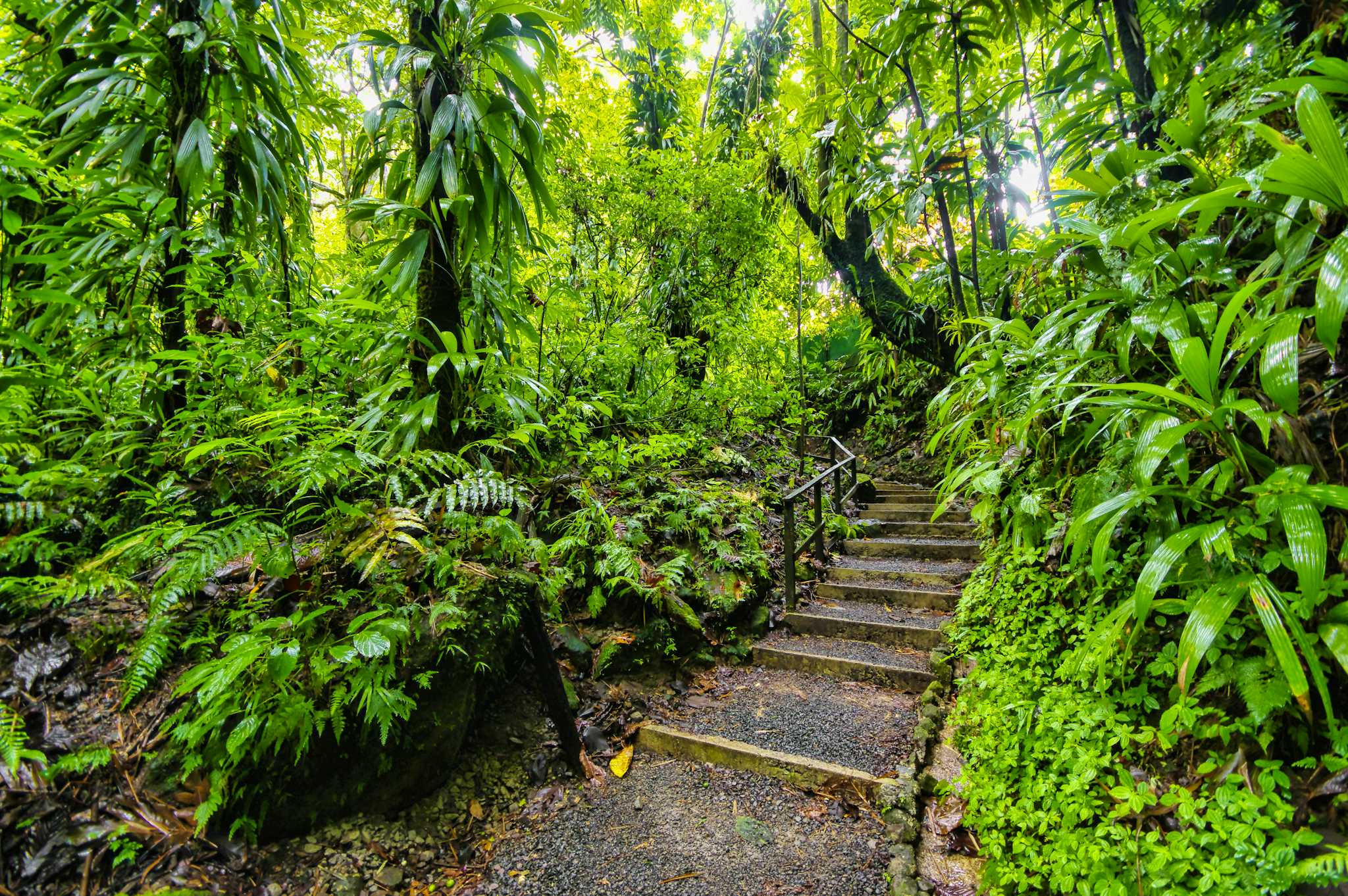 Belle Vue, St. Lucia