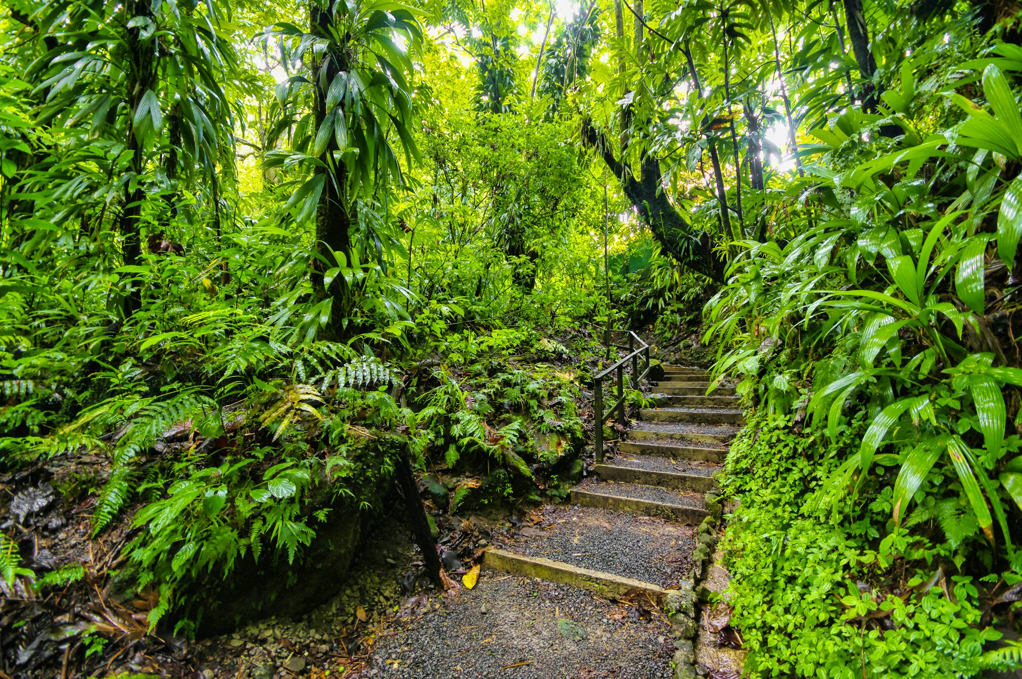 Belle Vue, St. Lucia