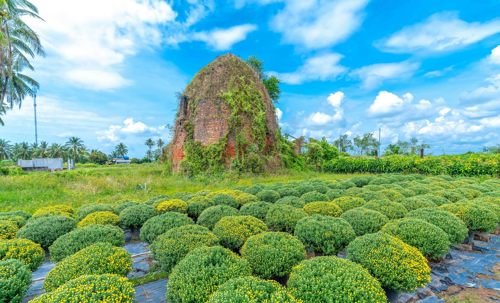 Ben Tre