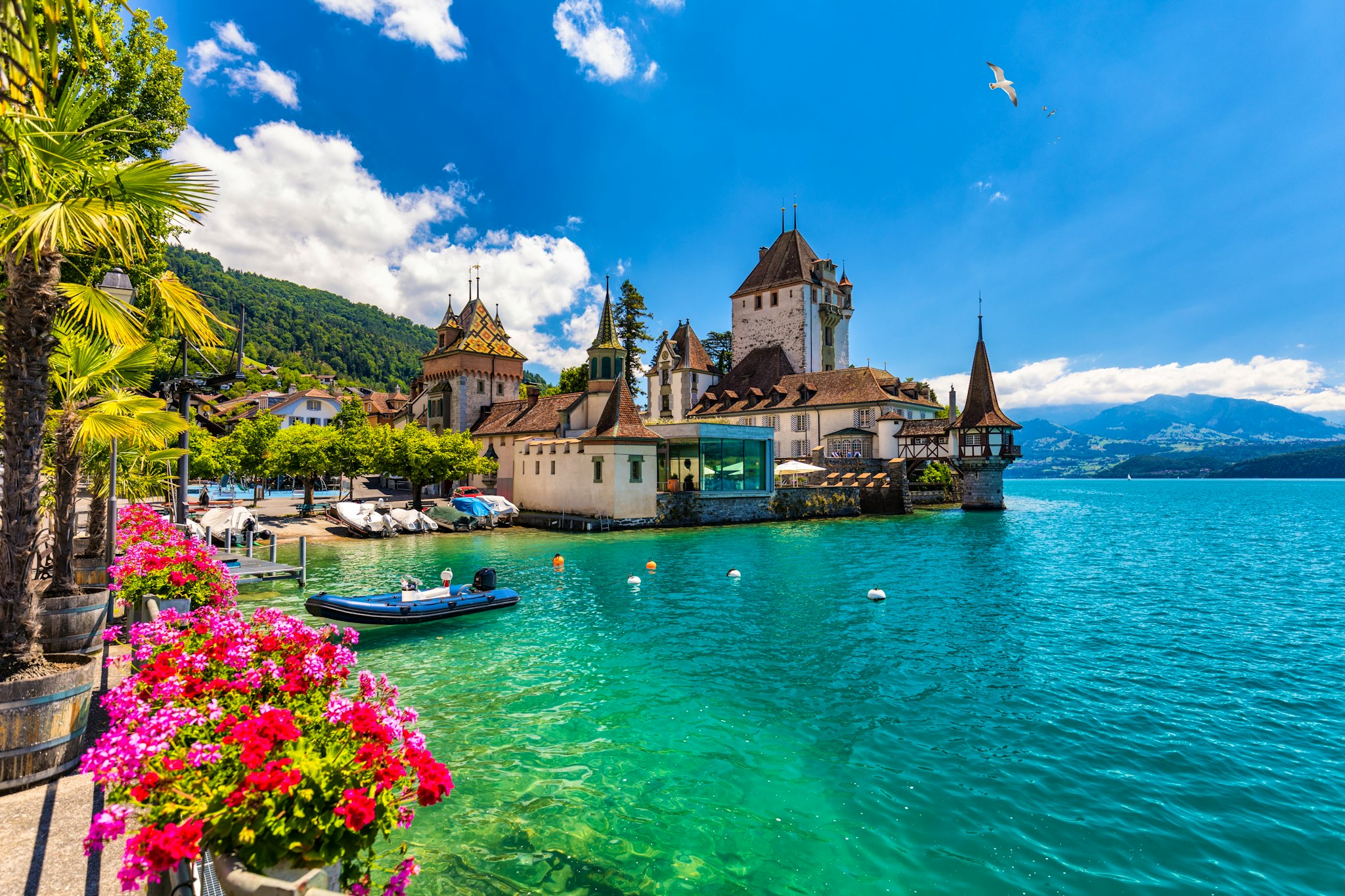 Basel to Bern and Thun: Private day trip