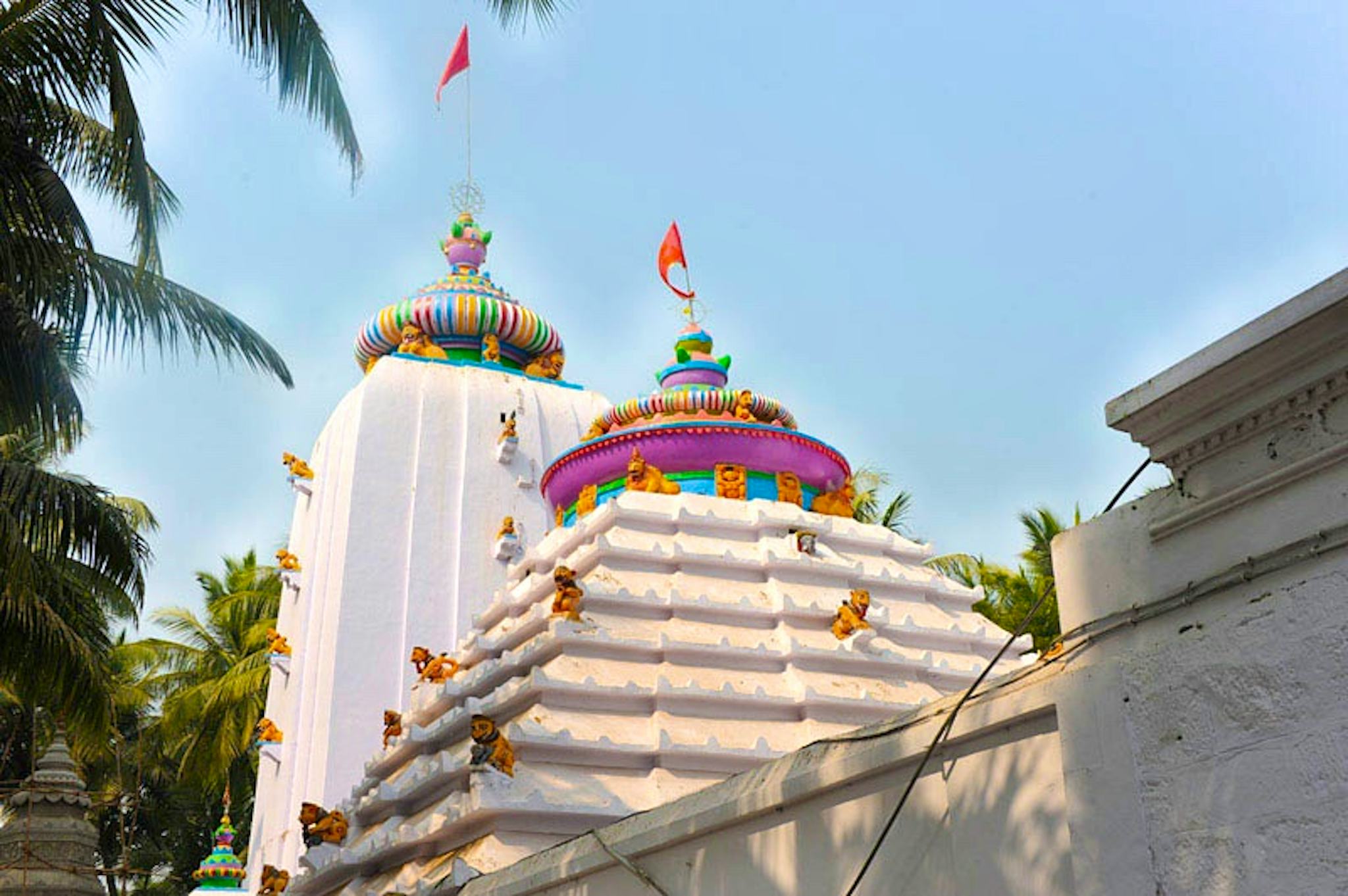 Temple de Biraja Shakti Peeth