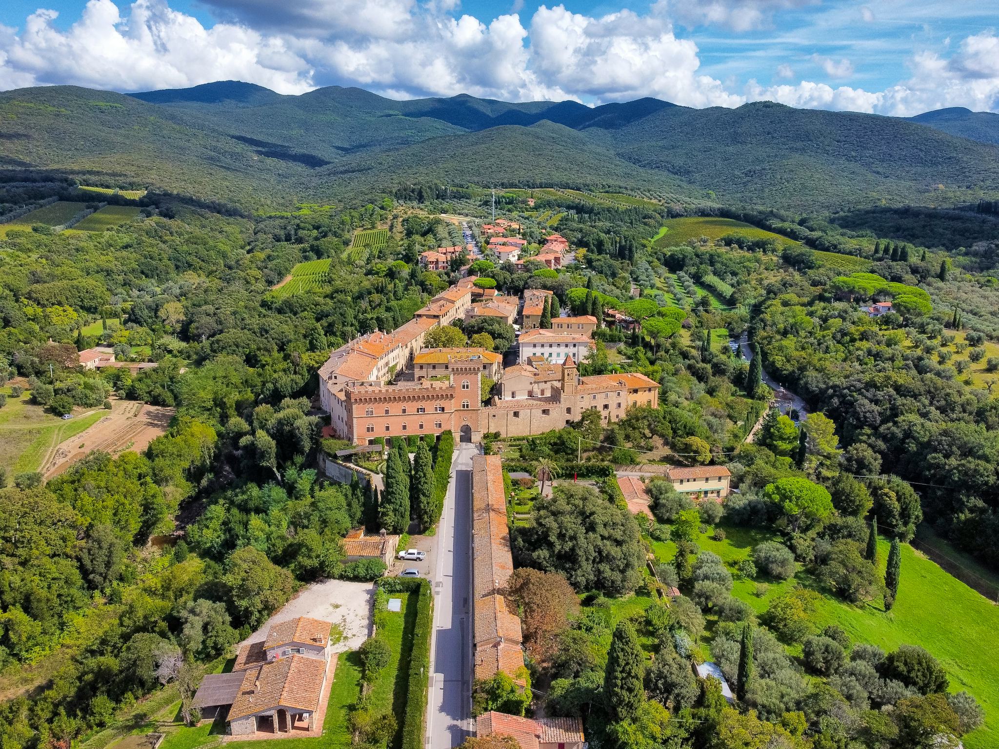 Livorno to Etruscan Coast Vineyards: Private day trip