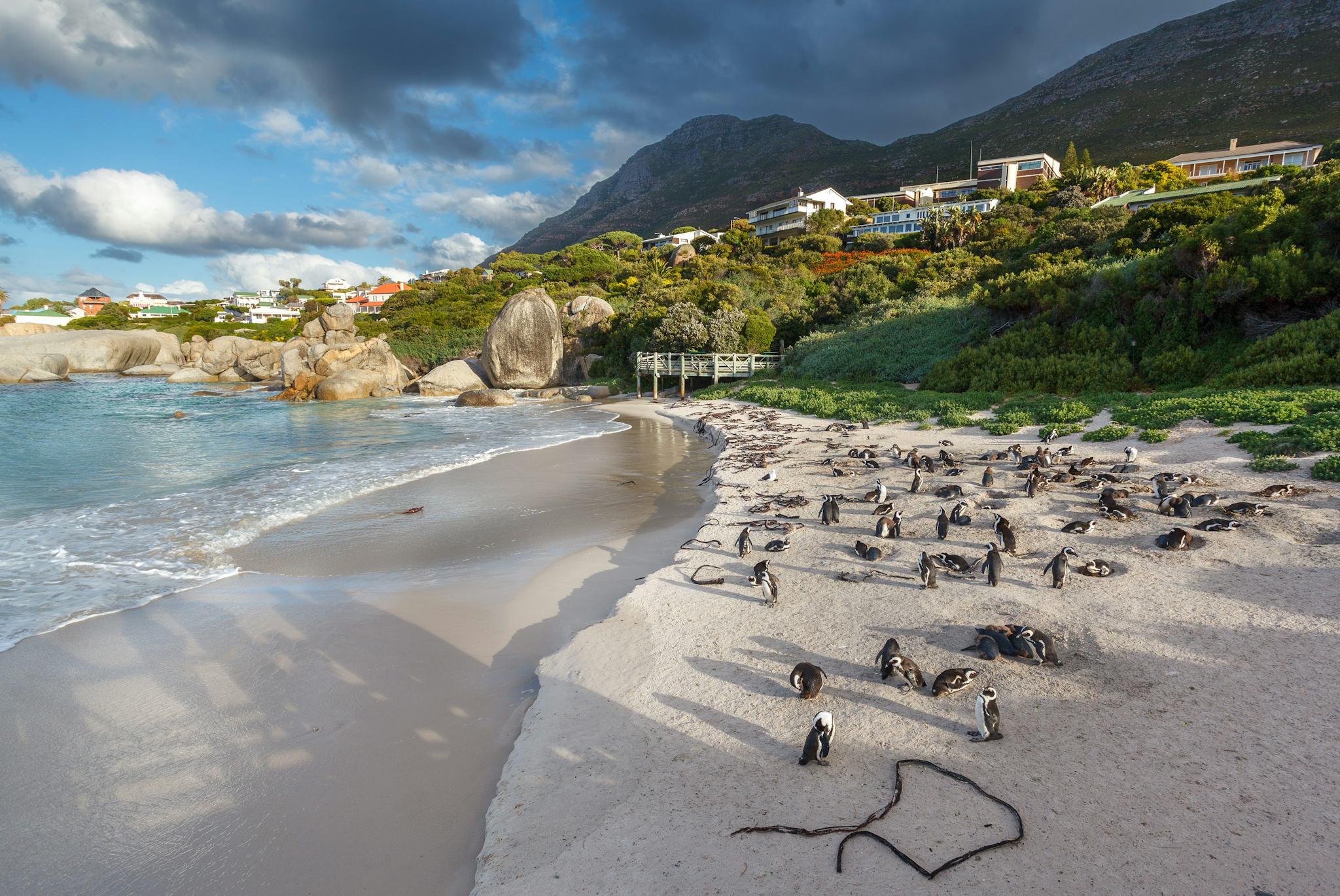Boulders Beach