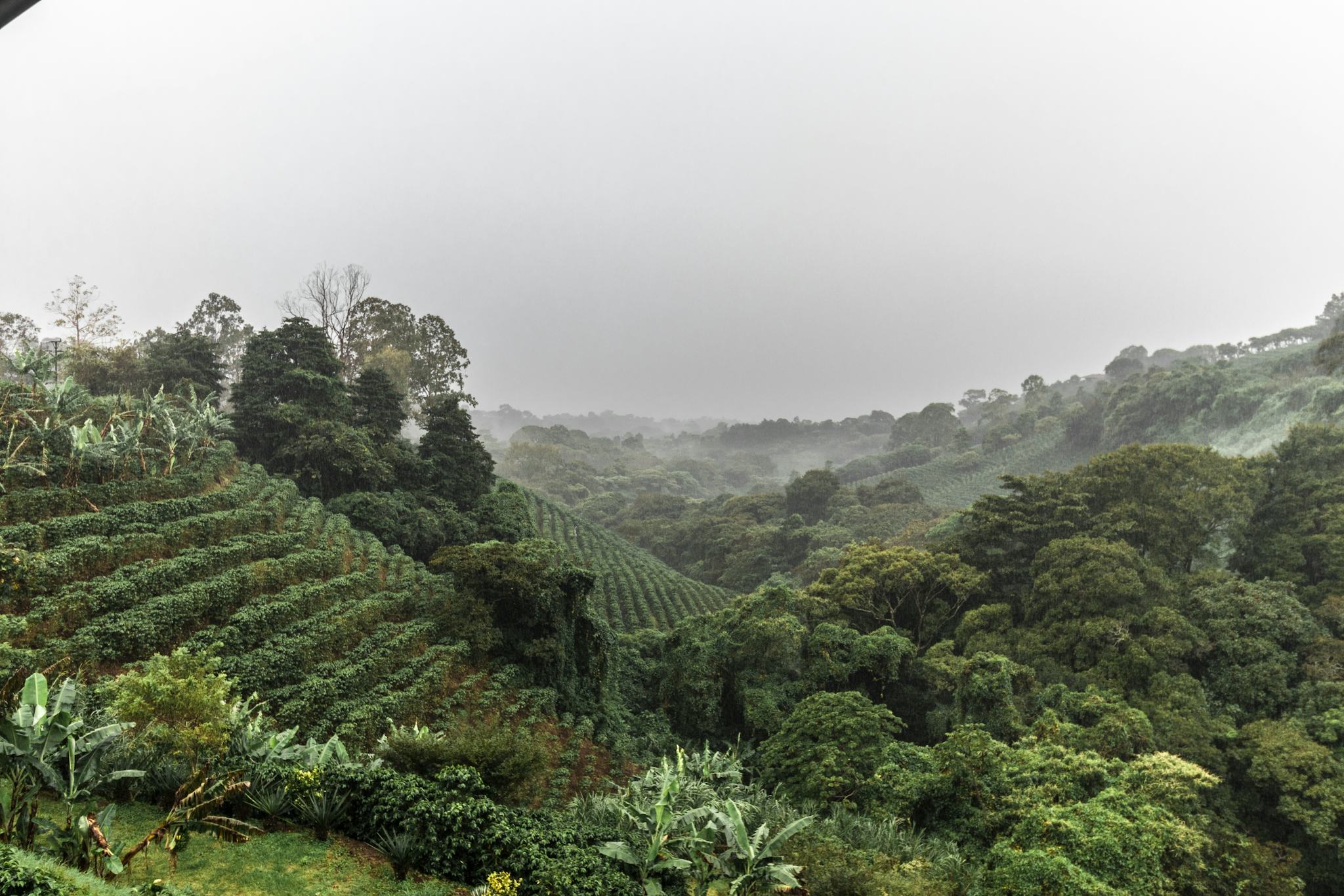 Britt Coffee Tour