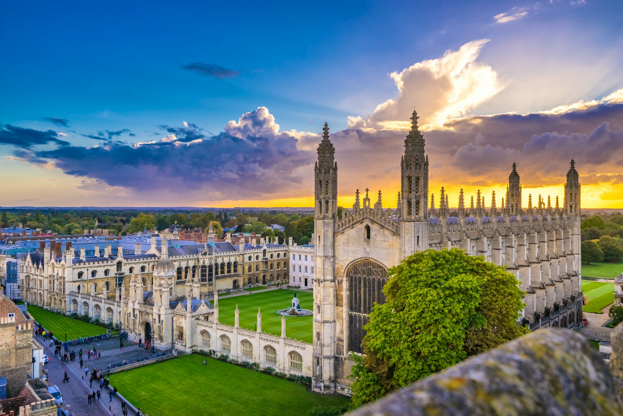 London to Cambridge and the Hertfordshire Zoo: Private day trip