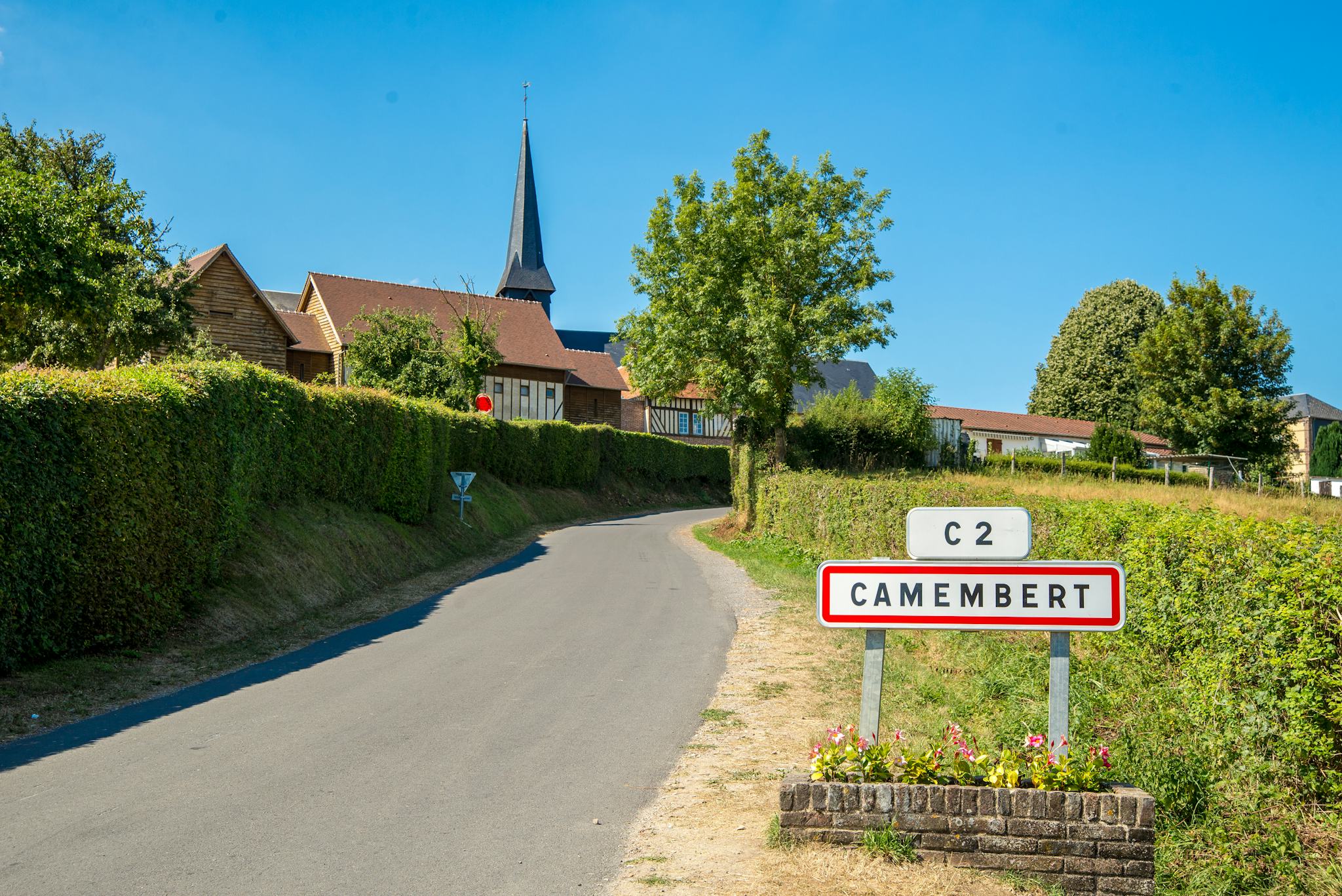 Camembert