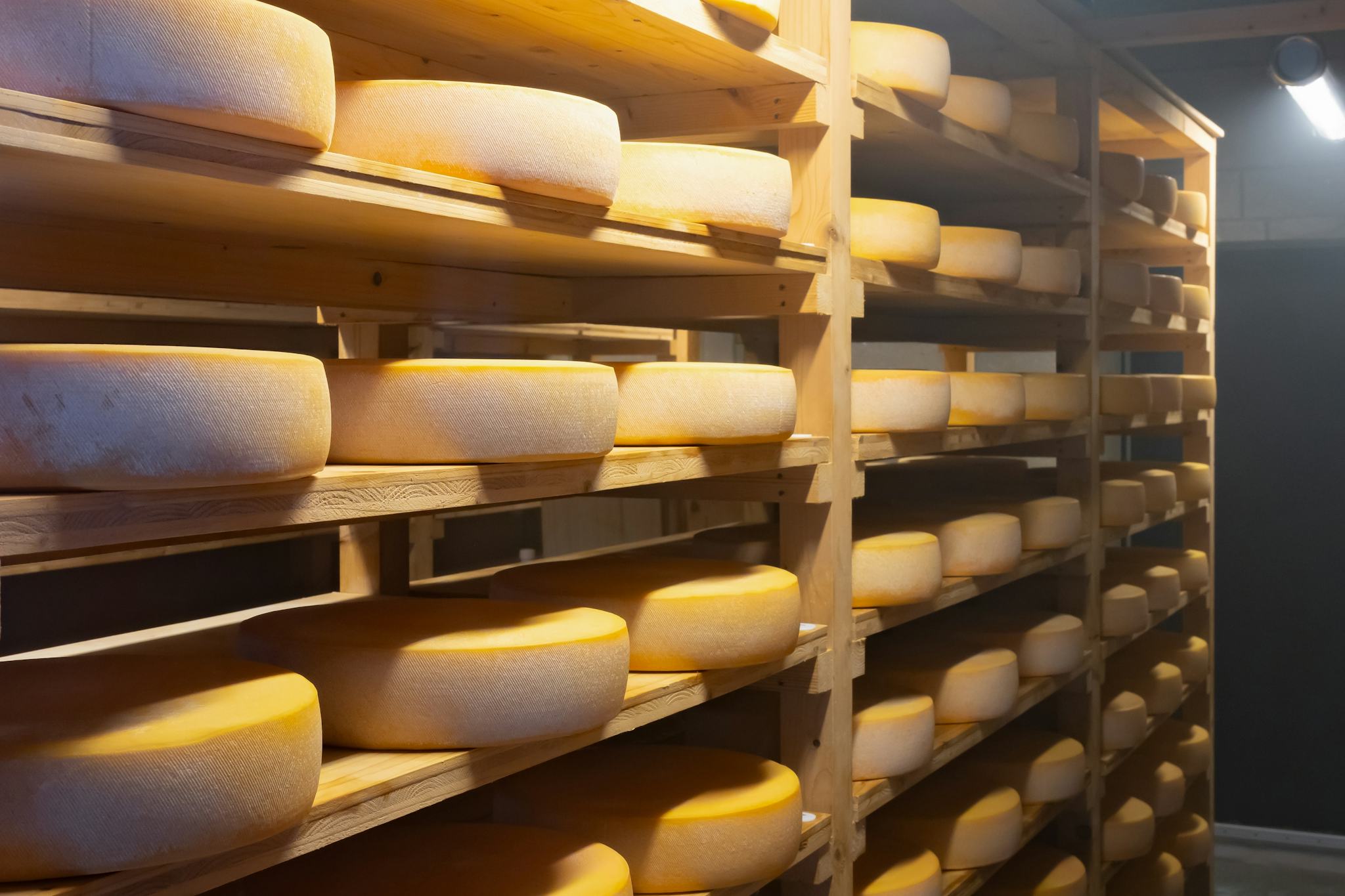 Camembert
