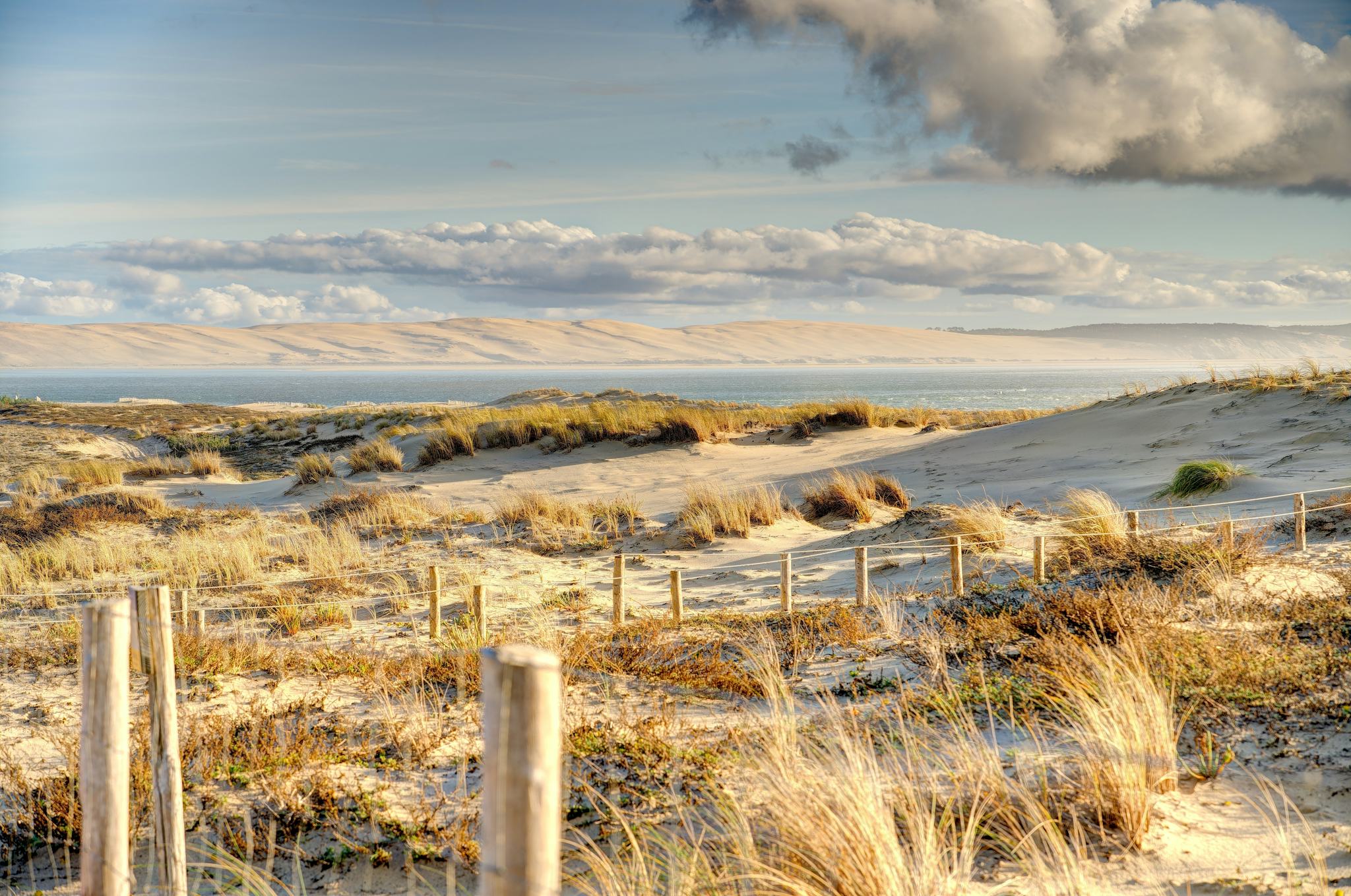 Cap Ferret