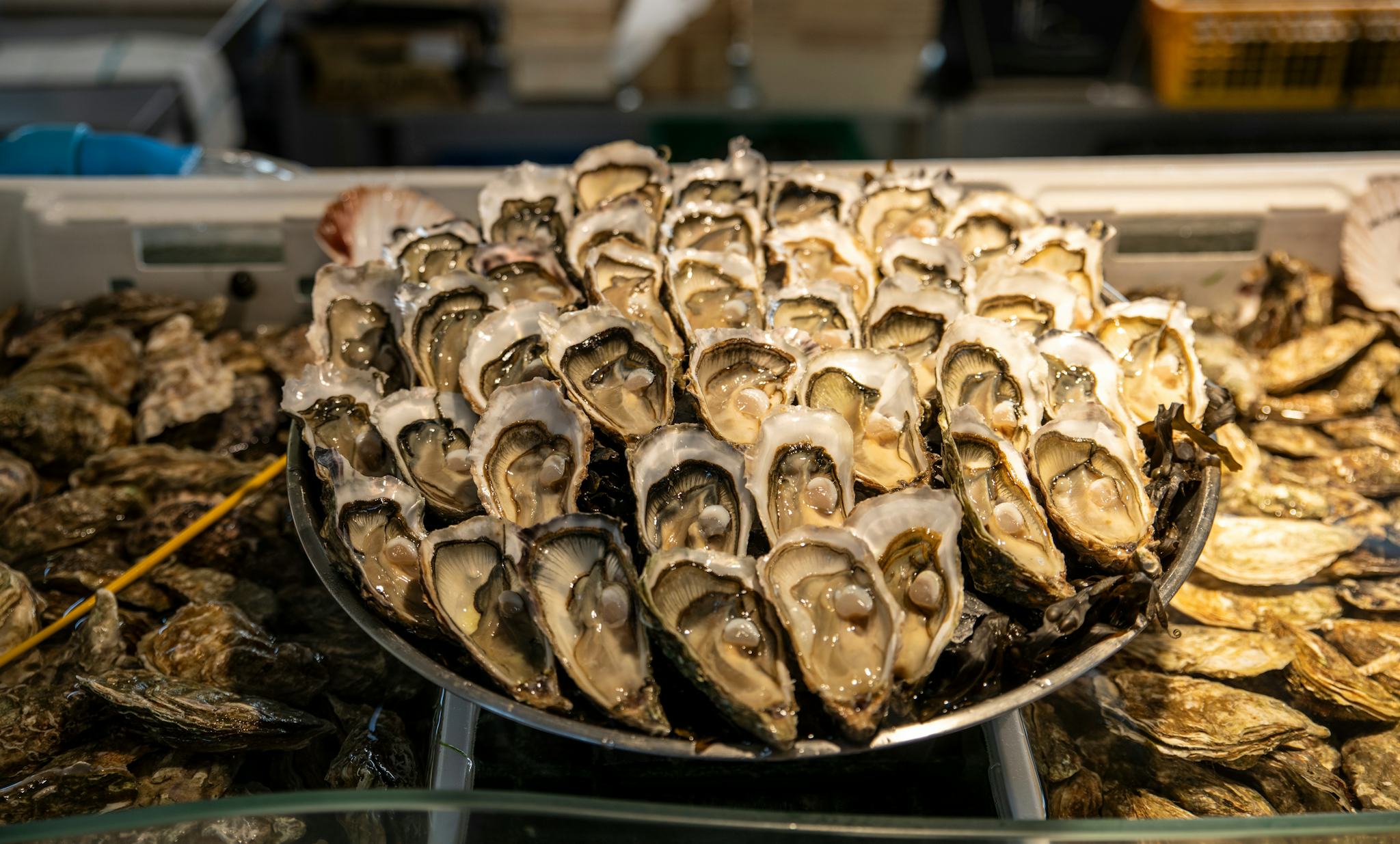 Cap Ferret