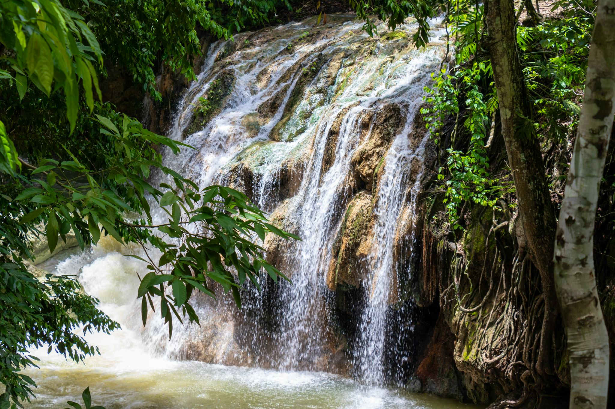 Cascada El Salto Del Venado